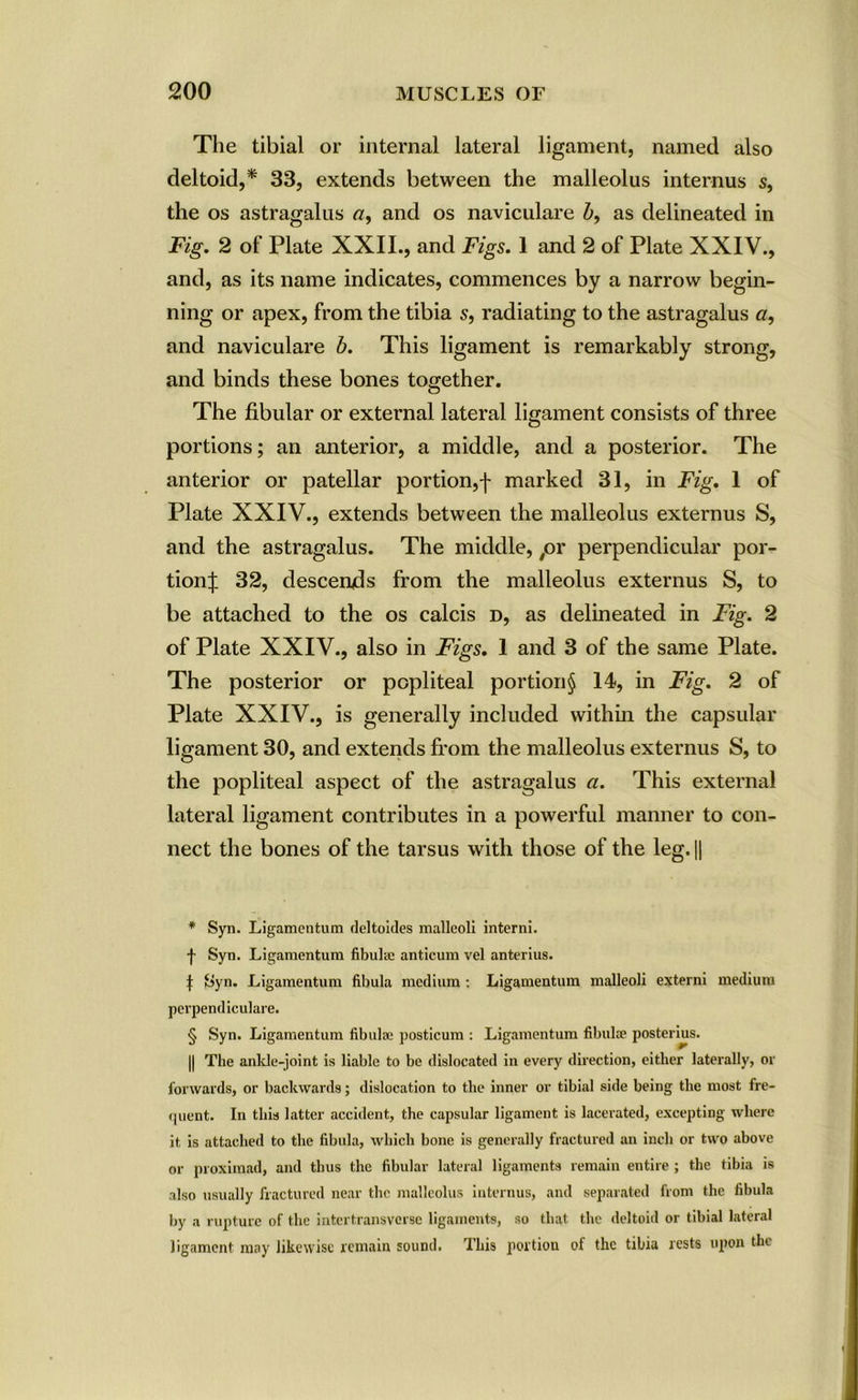 The tibial or internal lateral ligament, named also deltoid,* * * § 33, extends between the malleolus internus s, the os astragalus a, and os naviculare b9 as delineated in Fig. 2 of Plate XXII., and Figs. 1 and 2 of Plate XXIV., and, as its name indicates, commences by a narrow begin- ning or apex, from the tibia s, radiating to the astragalus a, and naviculare b. This ligament is remarkably strong, and binds these bones together. The fibular or external lateral ligament consists of three portions; an anterior, a middle, and a posterior. The anterior or patellar portion,f marked 31, in Fig. 1 of Plate XXIV., extends between the malleolus externus S, and the astragalus. The middle, #or perpendicular por- tion;]: 32, descends from the malleolus externus S, to be attached to the os calcis d, as delineated in Fig. 2 of Plate XXIV., also in Figs. 1 and 3 of the same Plate. The posterior or popliteal portion § 14, in Fig. 2 of Plate XXIV., is generally included within the capsular ligament 30, and extends from the malleolus externus S, to the popliteal aspect of the astragalus a. This external lateral ligament contributes in a powerful manner to con- nect the bones of the tarsus with those of the leg. |j * Syn. Ligamentum deltoides malleoli interni. t Syn. Ligamentum fibula: anticum vel anterius. t Syn. Ligamentum fibula medium : Ligamentum malleoli externi medium perpendiculare. § Syn. Ligamentum fibulae posticum : Ligamentum fibulae posterius. || The ankle-joint is liable to be dislocated in every direction, either laterally, or forwards, or backwards; dislocation to the inner or tibial side being the most fre- quent. In this latter accident, the capsular ligament is lacerated, excepting where it is attached to the fibula, which bone is generally fractured an inch or two above or proximad, and thus the fibular lateral ligaments remain entire ; the tibia is also usually fractured near the malleolus internus, and separated from the fibula by a rupture of the inter transverse ligaments, so that the deltoid or tibial lateral ligament may likewise remain sound. This portion of the tibia rests upon the