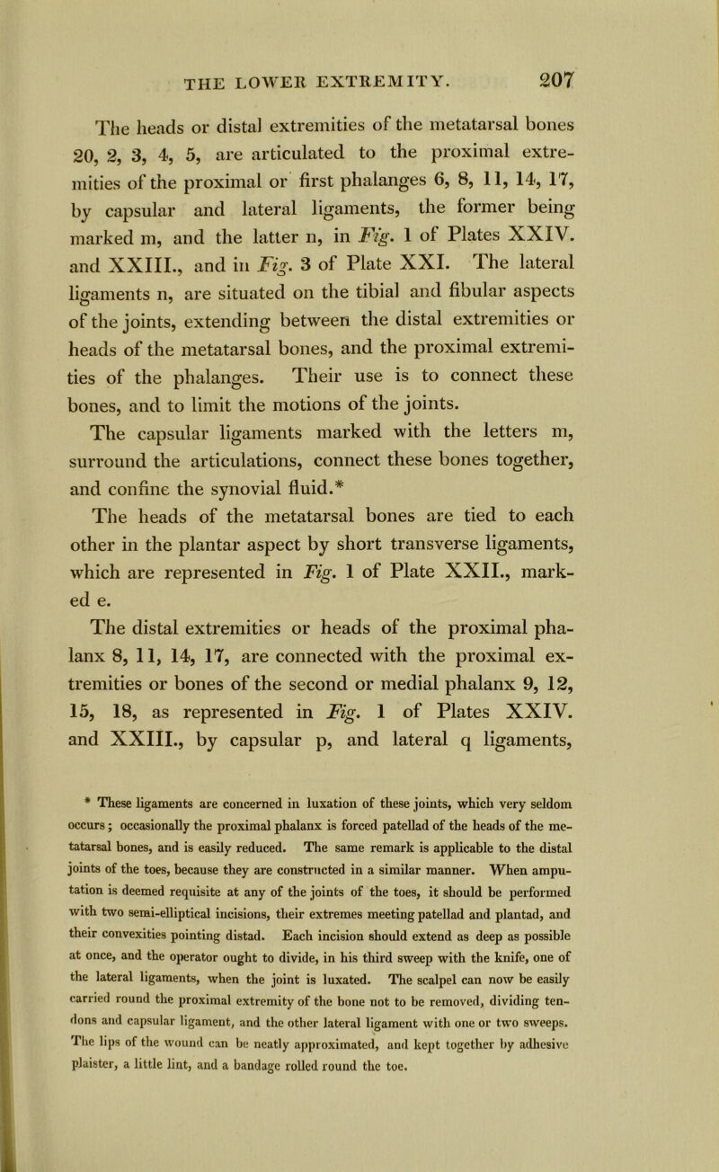 The heads or distal extremities of the metatarsal bones 20, 2, 3, 4, 5, are articulated to the proximal extre- mities of the proximal or first phalanges 6, 8, 11, 14, 17, by capsular and lateral ligaments, the former being marked m, and the latter n, in Fig. 1 of Plates XXIV. and XXIII., and in Fig. 3 of Plate XXI. The lateral ligaments n, are situated on the tibial and fibular aspects of the joints, extending between the distal extremities or heads of the metatarsal bones, and the proximal extremi- ties of the phalanges. Their use is to connect these bones, and to limit the motions of the joints. The capsular ligaments marked with the letters m, surround the articulations, connect these bones together, and confine the synovial fluid.* The heads of the metatarsal bones are tied to each other in the plantar aspect by short transverse ligaments, which are represented in Fig. 1 of Plate XXII., mark- ed e. The distal extremities or heads of the proximal pha- lanx 8, 11, 14, 17, are connected with the proximal ex- tremities or bones of the second or medial phalanx 9, 12, 15, 18, as represented in Fig. 1 of Plates XXIV. and XXIII., by capsular p, and lateral q ligaments, * These ligaments are concerned in luxation of these joints, which very seldom occurs; occasionally the proximal phalanx is forced patellad of the heads of the me- tatarsal bones, and is easily reduced. The same remark is applicable to the distal joints of the toes, because they are constructed in a similar manner. When ampu- tation is deemed requisite at any of the joints of the toes, it should be performed with two semi-elliptical incisions, their extremes meeting patellad and plantad, and their convexities pointing distad. Each incision should extend as deep as possible at once, and the operator ought to divide, in his third sweep with the knife, one of the lateral ligaments, when the joint is luxated. The scalpel can now be easily carried round the proximal extremity of the bone not to be removed, dividing ten- dons and capsular ligament, and the other lateral ligament with one or two sweeps. The lips of the wound can be neatly approximated, and kept together by adhesive plaister, a little lint, and a bandage rolled round the toe.