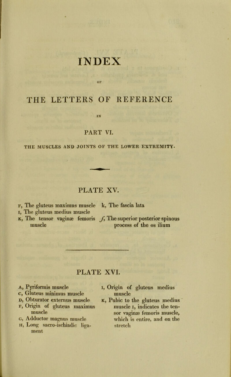 INDEX OF THE LETTERS OF REFERENCE IN PART VI. THE MUSCLES AND JOINTS OF THE LOWER EXTREMITY- PLATE XV. f, The gluteus maximus muscle k, The fascia lata I, The gluteus medius muscle k, The tensor vaginae femoris f. The superior posterior spinous muscle process of the os ilium PLATE XVI. A, Pyriformis muscle c, Gluteus minimus muscle d, Obturator externus muscle f, Origin of gluteus maximus muscle c, Adductor magnus muscle h, Long sacro-ischiadic liga- ment I, Origin of gluteus medius muscle k, Pubic to the gluteus medius muscle i, indicates the ten- sor vaginse femoris muscle, which is entire, and on the stretch