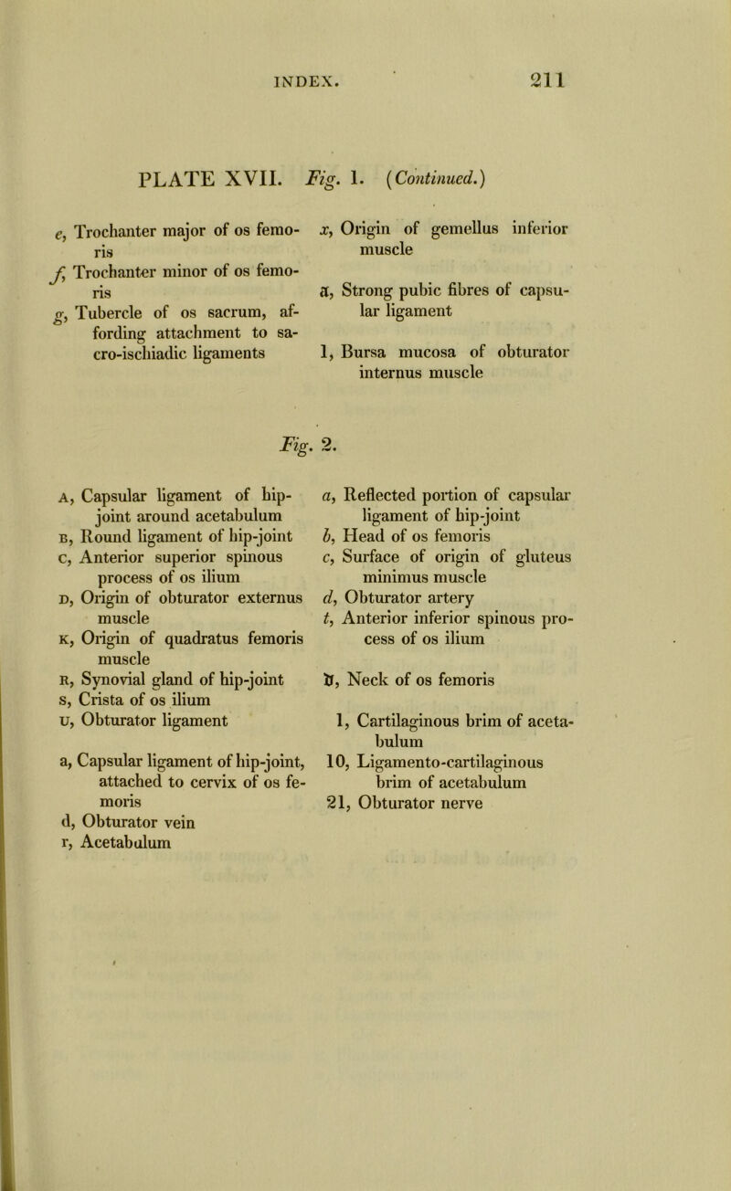 PLATE XVII. e, Trochanter major of os femo- ris Jl Trochanter minor of os femo- ris g, Tubercle of os sacrum, af- fording attachment to sa- cro-ischiadic ligaments Fig A, Capsular ligament of hip- joint around acetabulum b, Round ligament of hip-joint c, Anterior superior spinous process of os ilium d, Origin of obturator externus muscle k, Origin of quadratus femoris muscle R, Synovial gland of hip-joint s, Crista of os ilium u, Obturator ligament a, Capsular ligament of hip-joint, attached to cervix of os fe- moris d, Obturator vein r, Acetabulum ig. 1. (Continued.) x, Origin of gemellus inferior muscle a, Strong pubic fibres of capsu- lar ligament 1, Bursa mucosa of obturator internus muscle a, Reflected portion of capsular ligament of hip-joint b, Head of os femoris c, Surface of origin of gluteus minimus muscle d, Obturator artery t, Anterior inferior spinous pro- cess of os ilium if. Neck of os femoris 1, Cartilaginous brim of aceta- bulum 10, Ligamento-cartilaginous brim of acetabulum 21, Obturator nerve