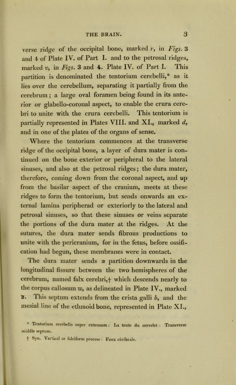 verse ridge of the occipital bone, marked r, in Figs. 3 and 4 of Plate IV. of Part I. and to the petrosal ridges, marked v, in Figs. 3 and 4. Plate IV. of Part I. This partition is denominated the tentorium cerebelli,* as it lies over the cerebellum, separating it partially from the cerebrum; a large oval foramen being found in its ante- rior or glabello-coronal aspect, to enable the crura cere- bri to unite with the crura cerebelli. This tentorium is partially represented in Plates VIII. and XL, marked d, and in one of the plates of the organs of sense. Where the tentorium commences at the transverse ridge of the occipital bone, a layer of dura mater is con- tinued on the bone exterior or peripheral to the lateral sinuses, and also at the petrosal ridges; the dura mater, therefore, coming down from the coronal aspect, and up from the basilar aspect of the cranium, meets at these ridges to form the tentorium, but sends onwards an ex- ternal lamina peripherad or exteriorly to the lateral and petrosal sinuses, so that these sinuses or veins separate the portions of the dura mater at the ridges. At the sutures, the dura mater sends fibrous productions to unite with the pericranium, for in the fetus, before ossifi- cation had begun, these membranes were in contact. The dura mater sends a partition downwards in the longitudinal fissure between the two hemispheres of the cerebrum, named falx cerebri,f which descends nearly to the corpus callosum w, as delineated in Plate IV., marked tr. This septum extends from the crista galli b, and the mesial line of the ethmoid bone, represented in Plate XI., * Tentorium cerebello super extensum: La tente du cervelet : Transverse middle septum. f Syn. Vertical or falciform process: Faux cerebrale.