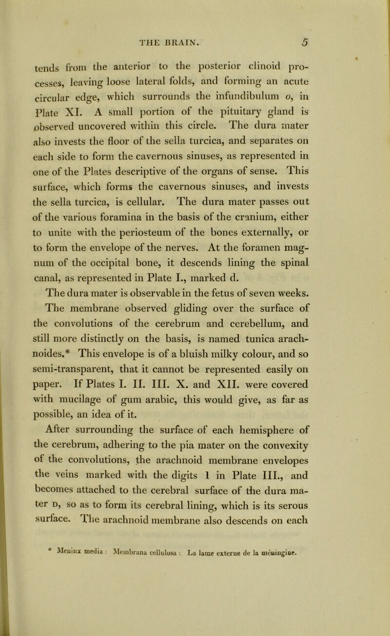 tends from the anterior to the posterior clinoid pro- cesses, leaving loose lateral folds, and forming an acute circular edge, which surrounds the infundibulum o, in Plate XI. A small portion of the pituitary gland is observed uncovered within this circle. The dura mater also invests the floor of the sella turcica, and separates on each side to form the cavernous sinuses, as represented in one of the Plates descriptive of the organs of sense. This surface, which forms the cavernous sinuses, and invests the sella turcica, is cellular. The dura mater passes out of the various foramina in the basis of the cranium, either to unite with the periosteum of the bones externally, or to form the envelope of the nerves. At the foramen mag- num of the occipital bone, it descends lining the spinal canal, as represented in Plate I., marked d. The dura mater is observable in the fetus of seven weeks. The membrane observed gliding over the surface of the convolutions of the cerebrum and cerebellum, and still more distinctly on the basis, is named tunica arach- noides.* This envelope is of a bluish milky colour, and so semi-transparent, that it cannot be represented easily on paper. If Plates I. II. III. X. and XII. were covered with mucilage of gum arabic, this would give, as far as possible, an idea of it. After surrounding the surface of each hemisphere of the cerebrum, adhering to the pia mater on the convexity of the convolutions, the arachnoid membrane envelopes the veins marked with the digits 1 in Plate III., and becomes attached to the cerebral surface of the dura ma- ter d, so as to form its cerebral lining, which is its serous surface. The arachnoid membrane also descends on each Meninx media : Membrana cellulosa : La lame externe de la sneningiue.