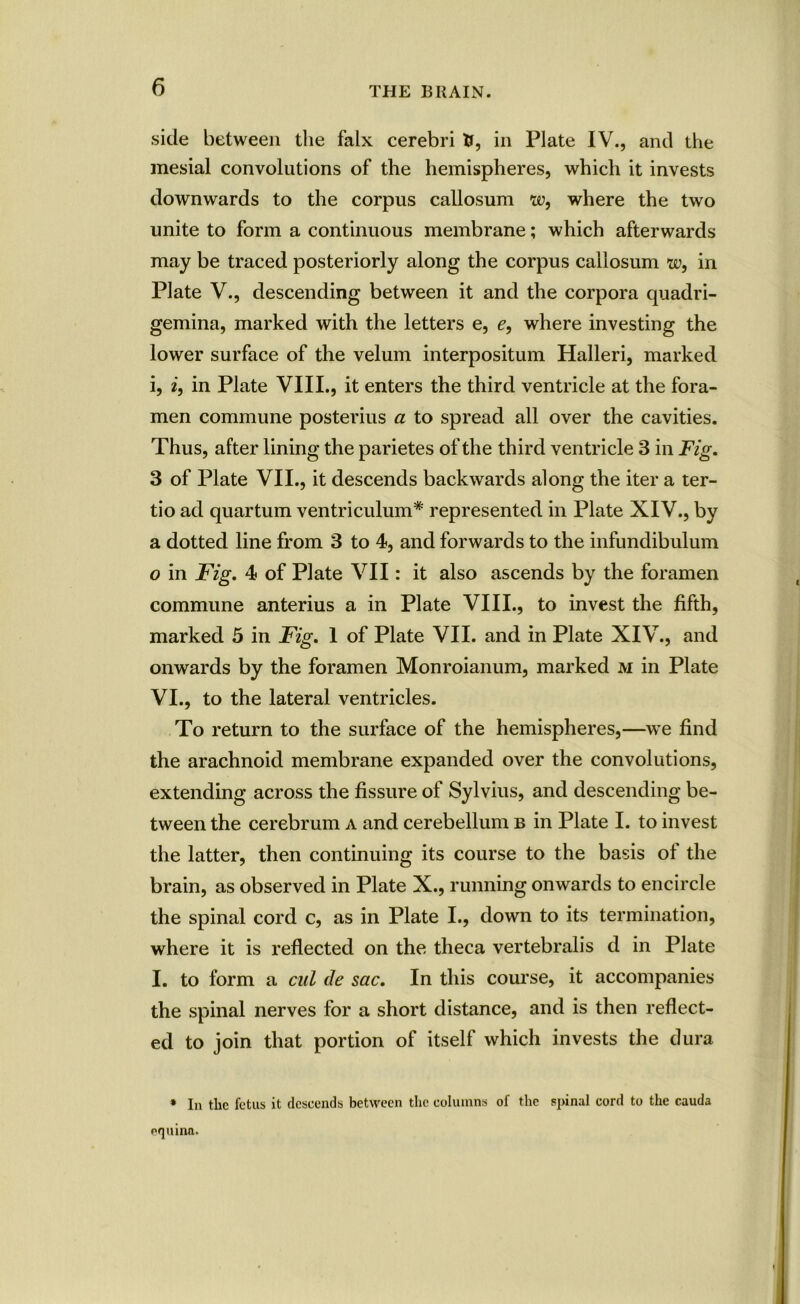 side between the falx cerebri ft, in Plate IV., and the mesial convolutions of the hemispheres, which it invests downwards to the corpus callosum tu, where the two unite to form a continuous membrane; which afterwards may be traced posteriorly along the corpus callosum u1, in Plate V., descending between it and the corpora quadri- gemina, marked with the letters e, e, where investing the lower surface of the velum interposition Halleri, marked i, i, in Plate VIII., it enters the third ventricle at the fora- men commune posterius a to spread all over the cavities. Thus, after lining the parietes of the third ventricle 3 in Fig. 3 of Plate VII., it descends backwards along the iter a ter- tio ad quartum ventriculum* represented in Plate XIV., by a dotted line from 3 to 4, and forwards to the infundibulum o in Fig. 4 of Plate VII: it also ascends by the foramen commune anterius a in Plate VIII., to invest the fifth, marked 5 in Fig. 1 of Plate VII. and in Plate XIV., and onwards by the foramen Monroianum, marked m in Plate VI., to the lateral ventricles. To return to the surface of the hemispheres,—we find the arachnoid membrane expanded over the convolutions, extending across the fissure of Sylvius, and descending be- tween the cerebrum a and cerebellum b in Plate I. to invest the latter, then continuing its course to the basis of the brain, as observed in Plate X., running onwards to encircle the spinal cord c, as in Plate I., down to its termination, where it is reflected on the theca vertebralis d in Plate I. to form a cal de sac. In this course, it accompanies the spinal nerves for a short distance, and is then reflect- ed to join that portion of itself which invests the dura * In the fetus it descends between the columns of the spinal cord to the cauda pquinn.