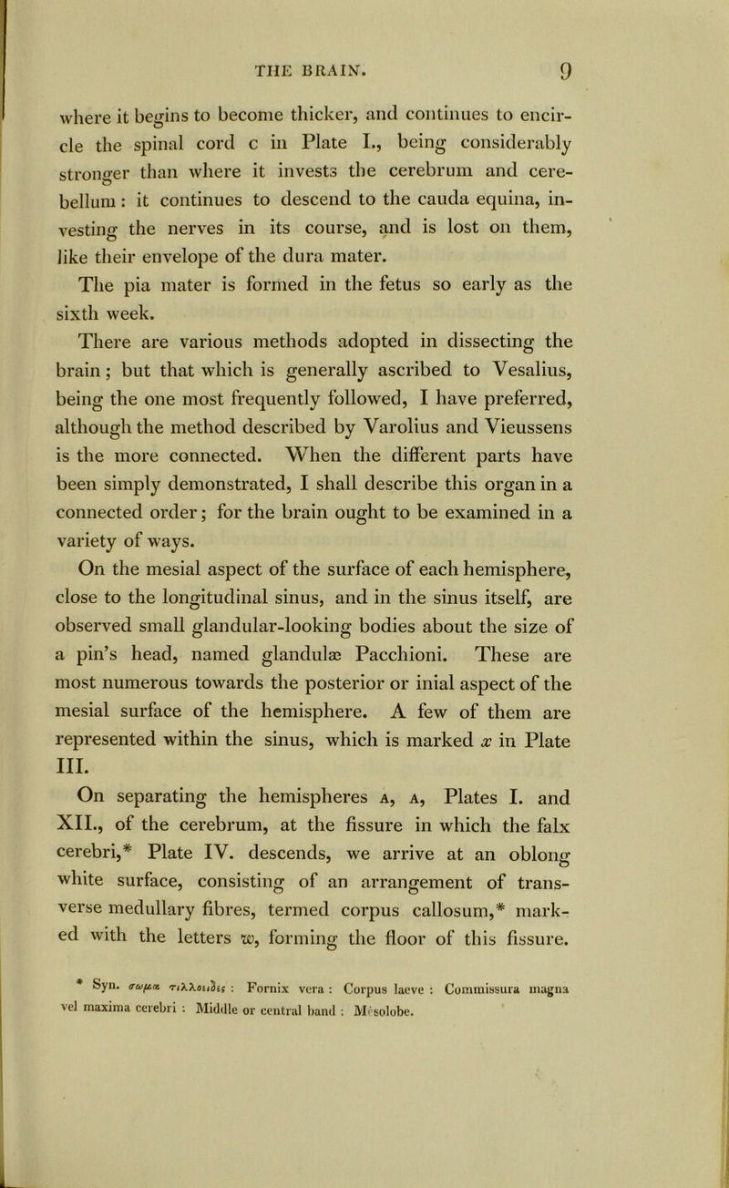 where it begins to become thicker, and continues to encir- cle the spinal cord c in Plate I., being considerably stronger than where it invests the cerebrum and cere- bellum: it continues to descend to the cauda equina, in- vesting the nerves in its course, and is lost on them, like their envelope of the dura mater. The pia mater is formed in the fetus so early as the sixth week. There are various methods adopted in dissecting the brain; but that which is generally ascribed to Vesalius, being the one most frequently followed, I have preferred, although the method described by Varolius and Vieussens is the more connected. When the different parts have been simply demonstrated, I shall describe this organ in a connected order; for the brain ought to be examined in a variety of ways. On the mesial aspect of the surface of each hemisphere, close to the longitudinal sinus, and in the sinus itself, are observed small glandular-looking bodies about the size of a pin’s head, named glandulae Pacchioni. These are most numerous towards the posterior or inial aspect of the mesial surface of the hemisphere. A few of them are represented within the sinus, which is marked x in Plate III. On separating the hemispheres a, a, Plates I. and XII., of the cerebrum, at the fissure in which the falx cerebri,* Plate IV. descends, we arrive at an obloiur white surface, consisting of an arrangement of trans- verse medullary fibres, termed corpus callosum,* mark- ed with the letters w, forming the floor of this fissure. Syn. 0-ap.iz n'kXou'bis : Fornix vera : Corpus laeve : Commissura magna veJ maxima cerebri : Middle or central band : Mesolobe.