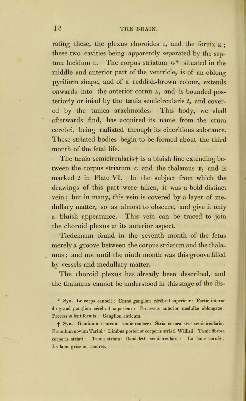 rating these, the plexus choroides i, and the fornix k ; these two cavities being apparently separated by the sep- tum lucidum l. The corpus striatum g* situated in the middle and anterior part of the ventricle, is of an oblong pyriform shape, and of a reddish-brown colour, extends onwards into the anterior cornu a, and is bounded pos- teriorly or iniad by the taenia semicircularis t, and cover- ed by the tunica arachnoides. This body, we shall afterwards find, has acquired its name from the crura cerebri, being radiated through its cineritious substance. These striated bodies begin to be formed about the third month of the fetal life. The taenia semicircularis f is a bluish line extending be- tween the corpus striatum g and the thalamus f, and is marked t in Plate VI. In the subject from which the drawings of this part were taken, it was a bold distinct vein; but in many, this vein is covered by a layer of me- dullary matter, so as almost to obscure, and give it only a bluish appearance. This vein can be traced to join the choroid plexus at its anterior aspect. Tiedemann found in the seventh month of the fetus merely a groove between the corpus striatum and the thala- mus ; and not until the ninth month was this groove filled by vessels and medullary matter. The choroid plexus has already been described, and the thalamus cannot be understood in this stage of the dis- * Syn. Le corps cannele : Grand ganglion cerebral superieur : Partie interne du grand ganglion cerebral superieur : Processus anterior medulla; oblongatae: Processus lentiformis : Ganglion anticum. j- Syn. Geminum centrum semicirculare: Stria cornea sive semicircularis: Frenulum novum Tarini : Limbus posterior corporis striati Willisii: Taenia fibrosa corporis striati : Taenia striata : Bandelette semicirculaire : La lame cornee : La lame grise ou ccndree.