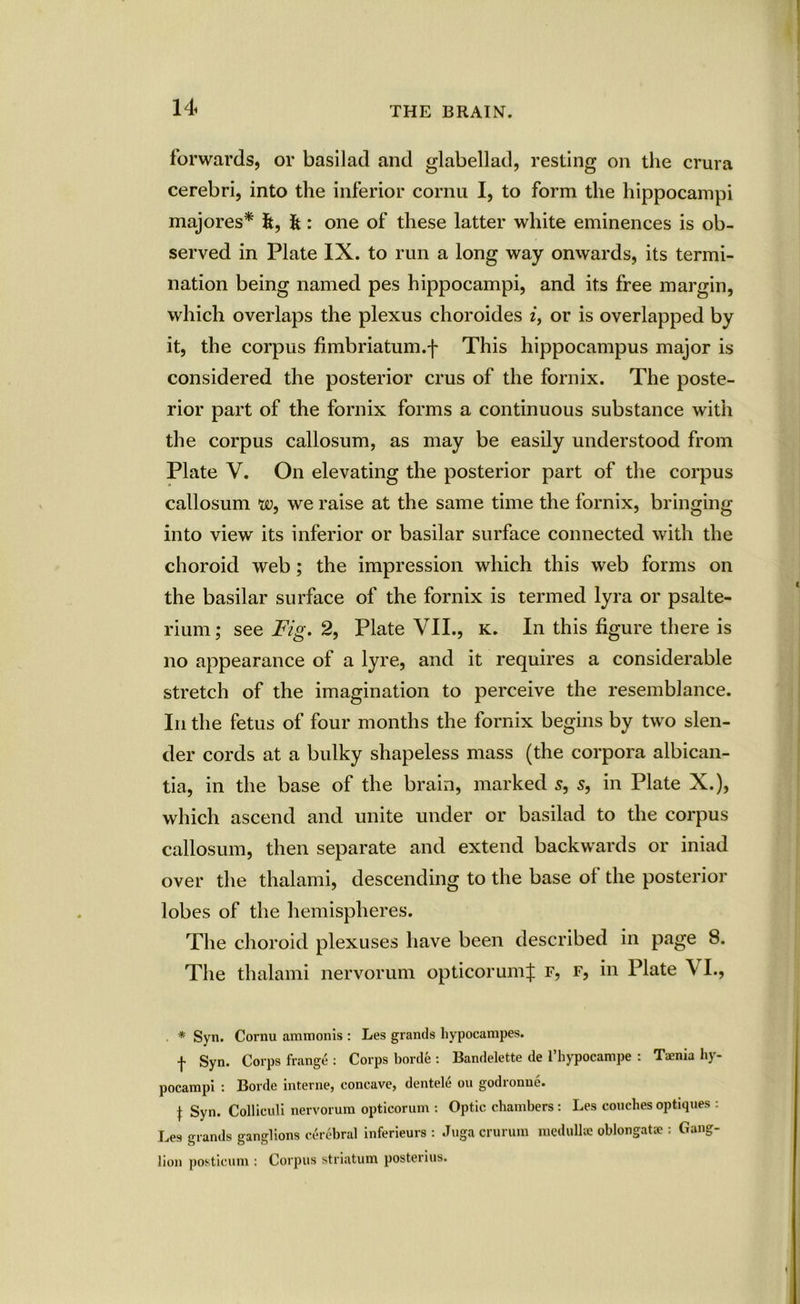 forwards, or basilad and glabellad, resting on the crura cerebri, into the inferior cornu I, to form the hippocampi majores* it, it: one of these latter white eminences is ob- served in Plate IX. to run a long way onwards, its termi- nation being named pes hippocampi, and its free margin, which overlaps the plexus choroides i, or is overlapped by it, the corpus fimbriatum.f This hippocampus major is considered the posterior crus of the fornix. The poste- rior part of the fornix forms a continuous substance with the corpus callosum, as may be easily understood from Plate V. On elevating the posterior part of the corpus callosum w, we raise at the same time the fornix, bringing into view its inferior or basilar surface connected with the choroid web; the impression which this web forms on the basilar surface of the fornix is termed lyra or psalte- rium; see Fig. 2, Plate VII., k. In this figure there is no appearance of a lyre, and it requires a considerable stretch of the imagination to perceive the resemblance. In the fetus of four months the fornix begins by two slen- der cords at a bulky shapeless mass (the corpora albican- tia, in the base of the brain, marked s, 5, in Plate X.), which ascend and unite under or basilad to the corpus callosum, then separate and extend backwards or iniad over the thalami, descending to the base ol the posterior lobes of the hemispheres. The choroid plexuses have been described in page 8. The thalami nervorum opticorumf r, r, in Plate VI., * Syn. Cornu ammonis : Les grands hypocampes. f Syn. Corps frange : Corps borde : Bandelette de I’hypocampe : Taenia hy- pocampi : Borde interne, concave, dentele on godronue. t Syn. Colliculi nervorum opticorum : Optic chambers: Les couches optiques : Les grands ganglions cerebral inferieurs : Jugacrurum medulhe oblongatac : Gang- lion posticum : Corpus striatum posterius.