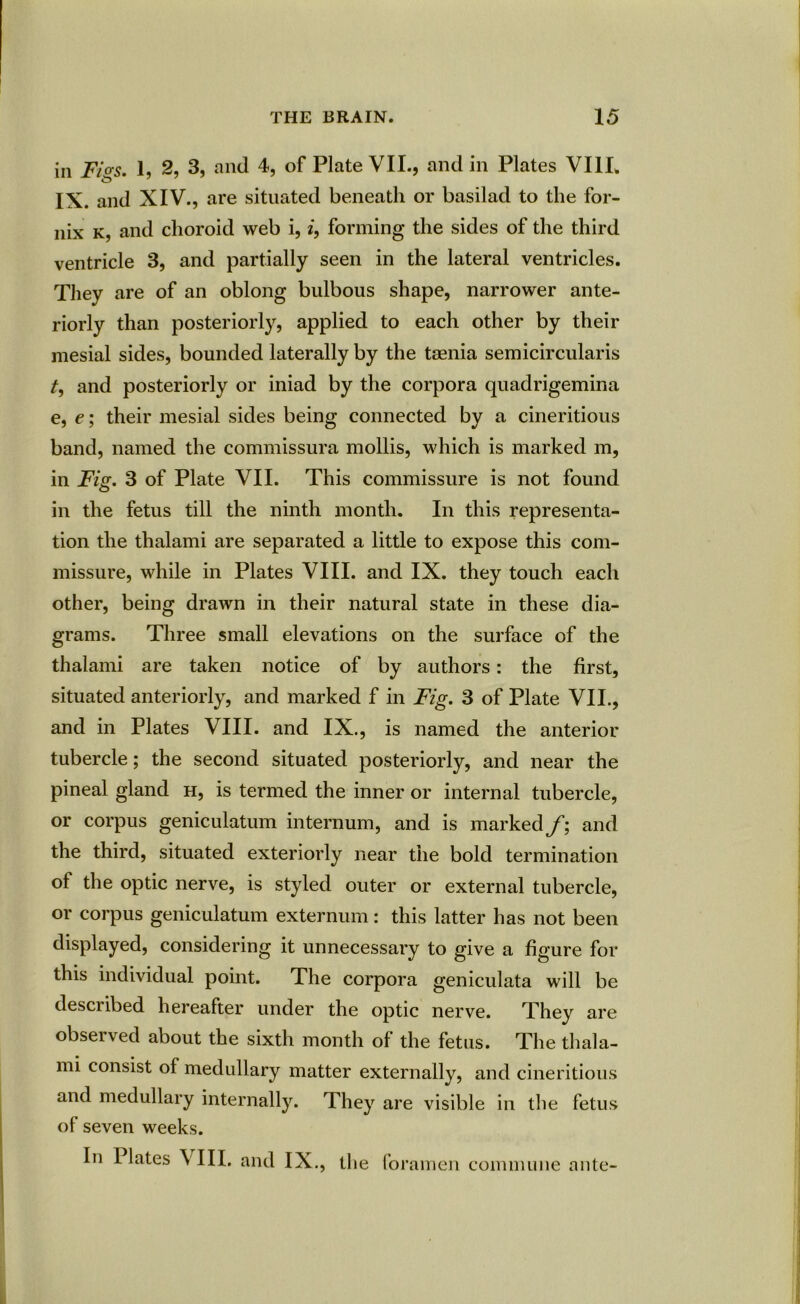 in Figs. 1, 2, 3, and 4, of Plate VII., and in Plates VIIL IX. and XIV., are situated beneath or basilad to the for- nix k, and choroid web i, i, forming the sides of the third ventricle 3, and partially seen in the lateral ventricles. They are of an oblong bulbous shape, narrower ante- riorly than posteriorly, applied to each other by their mesial sides, bounded laterally by the taenia semicircularis /, and posteriorly or iniad by the corpora quadrigemina e, e; their mesial sides being connected by a cineritious band, named the commissura mollis, which is marked m, in Fig. 3 of Plate VII. This commissure is not found in the fetus till the ninth month. In this representa- tion the thalami are separated a little to expose this com- missure, while in Plates VIII. and IX. they touch each other, being drawn in their natural state in these dia- grams. Three small elevations on the surface of the thalami are taken notice of by authors: the first, situated anteriorly, and marked f in Fig. 3 of Plate VII., and in Plates VIII. and IX., is named the anterior tubercle; the second situated posteriorly, and near the pineal gland h, is termed the inner or internal tubercle, or corpus geniculatum internum, and is marked f; and the third, situated exteriorly near the bold termination of the optic nerve, is styled outer or external tubercle, or corpus geniculatum externum: this latter has not been displayed, considering it unnecessary to give a figure for this individual point. The corpora geniculata will be described hereafter under the optic nerve. They are obseived about the sixth month of the fetus. The thala- mi consist of medullary matter externally, and cineritious and medullary internally. They are visible in the fetus of seven weeks. In Plates VIII, and IX., the foramen commune ante-