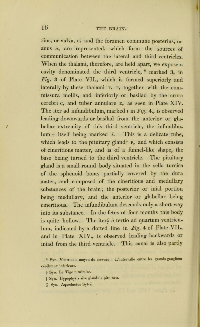 rius, or vulva, a, and the foremen commune posterius, or anus a, are represented, which form the sources of communication between the lateral and third ventricles. When the thalami, therefore, are held apart, we expose a cavity denominated the third ventricle, * * * § marked 3, in Fig. 3 of Plate VII., which is formed superiorly and laterally by these thalami f, f, together with the com- missura mollis, and inferiorly or basilad by the crura cerebri c, and tuber annulare e, as seen in Plate XIV. The iter ad infundibulum, marked i in Fig. 4., is observed leading downwards or basilad from the anterior or gla- bellar extremity of this third ventricle, the infundibu- lum f itself being marked i. This is a delicate tube, which leads to the pituitary glands p, and which consists of cineritious matter, and is of a funnel-like shape, the base being turned to the third ventricle. The pituitary gland is a small round body situated in the sella turcica of the sphenoid bone, partially covered by the dura mater, and composed of the cineritious and medullary substances of the brain; the posterior or inial portion being medullary, and the anterior or glabellar being cineritious. The infundibulum descends only a short way into its substance. In the fetus of four months this body is quite hollow. The iter§ a tertio ad quartum ventricu- lum, indicated by a dotted line in Fig. 4 of Plate V II., and in Plate XIV., is observed leading backwards or iniad from the third ventricle. This canal is also partly * Syn. Ventricule moyen du cerveau : L’iutervalle entre les grands gauglions cerebraux inferieurs. f Syn. La Tige pituitaire. | Syn. Hypophysis sive glandula pituitosa. § Syn. Aqueduct us Sylvii.