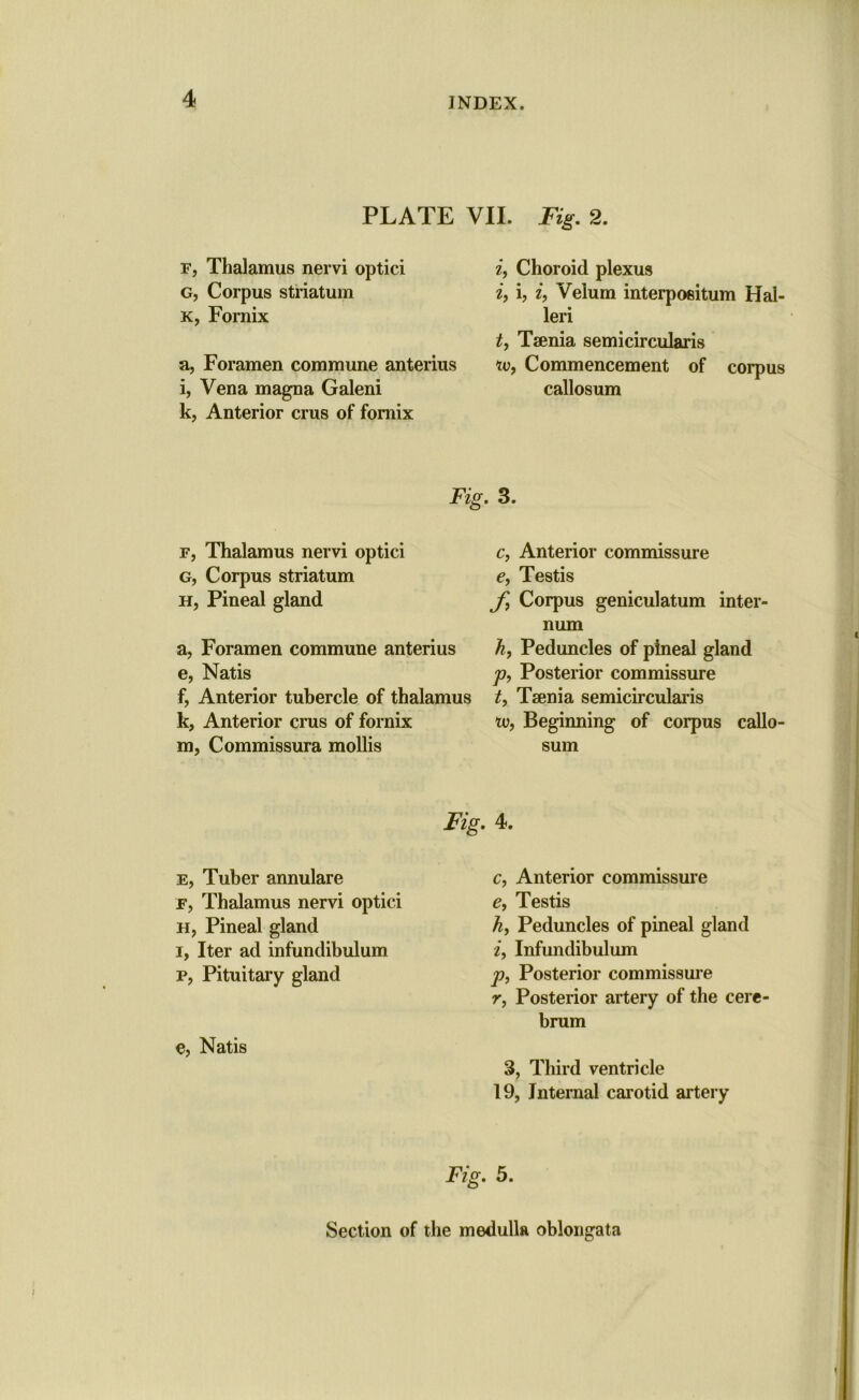 PLATE VII. Fig. 2. f, Thalamus nervi optici G, Corpus striatum k, Fornix a, Foramen commune anterius i, Vena magna Galeni k, Anterior crus of fornix if Choroid plexus if i, i, Velum interpositum Hal- leri t, Taenia semicircularis Wf Commencement of corpus callosum Fig. 3. f, Thalamus nervi optici g, Corpus striatum h, Pineal gland a, Foramen commune anterius e, Natis f, Anterior tubercle of thalamus k, Anterior crus of fornix m, Commissura mollis Fig e, Tuber annulare f, Thalamus nervi optici h, Pineal gland i, Iter ad infundibulum p, Pituitary gland e, Natis c, Anterior commissure e, Testis ff Corpus geniculatum inter- num hf Peduncles of pineal gland p, Posterior commissure tf Taenia semicircularis Vo, Beginning of corpus callo- sum 4. Cf Anterior commissure c, Testis hf Peduncles of pineal gland if Infundibulum p, Posterior commissure r, Posterior artery of the cere- brum 3, Third ventricle 19, Internal carotid artery Fig. 5. Section of the medulla oblongata