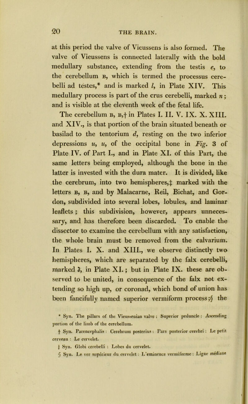 at this period the valve of Vieussens is also formed. The valve of Vieussens is connected laterally with the bold medullary substance, extending from the testis e, to the cerebellum b, which is termed the processus cere- belli ad testes,* * * § and is marked l, in Plate XIV. This medullary process is part of the crus cerebelli, marked n; and is visible at the eleventh week of the fetal life. The cerebellum b, b,| in Plates I. II. V. IX. X. XIII. and XIV., is that portion of the brain situated beneath or basilad to the tentorium d, resting on the two inferior depressions «, u, of the occipital bone in Fig. 3 of Plate IV. of Part I., and in Plate XI. of this Part, the same letters being employed, although the bone in the latter is invested with the dura mater. It is divided, like the cerebrum, into two hemispheres,}: marked with the letters b, b, and by Malacarne, Reil, Bichat, and Gor- don, subdivided into several lobes, lobules, and laminar leaflets ; this subdivision, however, appears unneces- sary, and has therefore been discarded. To enable the dissector to examine the cerebellum with any satisfaction, the whole brain must be removed from the calvarium. In Plates I. X. and XIII., we observe distinctly two hemispheres, which are separated by the falx cerebelli, marked 2, in Plate XI.; but in Plate IX. these are ob- served to be united, in consequence of the falx not ex- tending so high up, or coronad, which bond of union has been fancifully named superior vermiform process ;§ the * Syn. The pillars of the Vieussenian valve : Superior peduncle : Ascending portion of the limb of the cerebellum. f Syn. Parencephalis : Cerebrum posterius : Tars posterior cerebri : Le petit cerveau : Le cervelet. | Syn. Globi cerebelli : Lobes du cervelet. § Syn. Le ver superieur du cervelet: L’eminence vermil'orrue : Ligne mediane