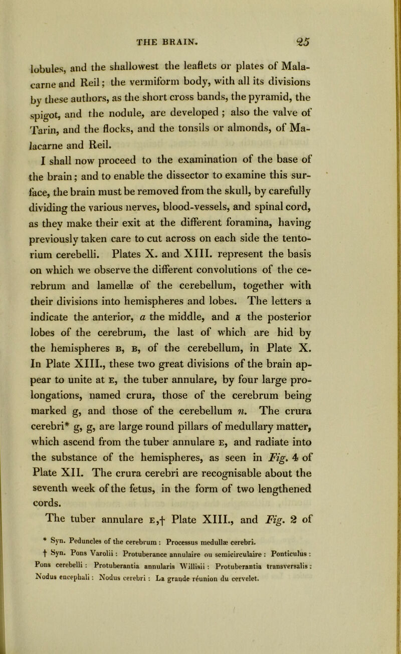 lobules, ami the shallowest the leaflets or plates of Mala- carne and Red; the vermiform body, with all its divisions by these authors, as the short cross bands, the pyramid, the Spig0t, and the nodule, are developed ; also the valve of Tarin, and the flocks, and the tonsils or almonds, of Ma- lacarne and Reil. I shall now proceed to the examination of the base of the brain; and to enable the dissector to examine this sur- face, the brain must be removed from the skull, by carefully dividing the various nerves, blood-vessels, and spinal cord, as they make their exit at the different foramina, having previously taken care to cut across on each side the tento- rium cerebelli. Plates X. and XIII. represent the basis on which we observe the different convolutions of the ce- rebrum and lamellae of the cerebellum, together with their divisions into hemispheres and lobes. The letters a indicate the anterior, a the middle, and a the posterior lobes of the cerebrum, the last of which are hid by the hemispheres b, b, of the cerebellum, in Plate X. In Plate XIII., these two great divisions of the brain ap- pear to unite at E, the tuber annulare, by four large pro- longations, named crura, those of the cerebrum being marked g, and those of the cerebellum n. The crura cerebri* g, g, are large round pillars of medullary matter, w hich ascend from the tuber annulare e, and radiate into the substance of the hemispheres, as seen in Fig. 4 of Plate XII. The crura cerebri are recognisable about the seventh week of the fetus, in the form of two lengthened cords. The tuber annulare E,f Plate XIII., and Fig. 2 of * Syn. Peduncles of the cerebrum : Processus medullae cerebri. f Syn. Pons Varolii: Protuberance annulaire ou semicirculaire : Ponticulus: Pons cerebelli : Protuberantia annularis Willisii: Protuberantia transversalis: ISodus encephali: Nodus cerebri: La grande reunion du cervelet.