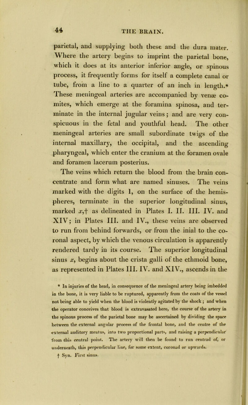 44* THE Bit A IN. parietal, and supplying both these and the dura mater. Where the artery begins to imprint the parietal bone, which it does at its anterior inferior angle, or spinous process, it frequently forms for itself a complete canal or tube, from a line to a quarter of an inch in length.* These meningeal arteries are accompanied by veme co- mites, which emerge at the foramina spinosa, and ter- minate in the internal jugular veins; and are very con- spicuous in the fetal and youthful head. The other meningeal arteries are small subordinate twigs of the internal maxillary, the occipital, and the ascending- pharyngeal, which enter the cranium at the foramen ovale and foramen lacerum posterius. The veins which return the blood from the brain con- centrate and form what are named sinuses. The veins marked with the digits 1, on the surface of the hemis- pheres, terminate in the superior longitudinal sinus, marked <r,f as delineated in Plates I. II. III. IV. and XIV; in Plates III. and IV., these veins are observed to run from behind forwards, or from the inial to the co- ronal aspect, by which the venous circulation is apparently rendered tardy in its course. The superior longitudinal sinus x, begins about the crista galli of the ethmoid bone, as represented in Plates III. IV. and XIV., ascends in the * In injuries of the head, in consequence of the meningeal artery being imbedded in the bone, it is very liable to be ruptured, apparently from the coats of the vessel not being able to yield when the blood is violently agitated by the shock ; and when the operator conceives that blood is extravasated here, the course of the artery in the spinous process of the parietal bone may be ascertained by dividing the space between the external angular process of the frontal bone, and the centre of the external auditory meatus, into two proportional parts, and raising a perpendicular from this central point. The artery will then be found to run centrad of, or underneath, this perpendicular line, for some extent, coronud or upwards. | Syn. First sinus.