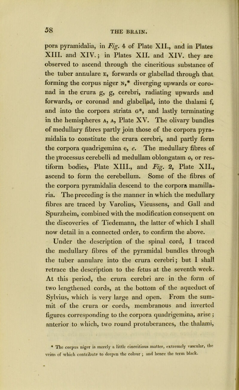 5$ pora pyramidalia, in Fig. 4 of Plate XII., and in Plates XIII. and XIV.; in Plates XII. and XIV. they are observed to ascend through the cineritious substance of the tuber annulare e, forwards or glabellad through that forming the corpus niger n,* diverging upwards or coro- nad in the crura g, g, cerebri, radiating upwards and forwards, or coronad and glabellad, into the thalami f, and into the corpora striata g*, and lastly terminating in the hemispheres a, a, Plate XV. The olivary bundles of medullary fibres partly join those of the corpora pyra- midalia to constitute the crura cerebri, and partly form the corpora quadrigemina e, e. The medullary fibres of the processus cerebelli ad medullam oblongatam o, or res- tiform bodies, Plate XIII., and Fig. 2, Plate XII., ascend to form the cerebellum. Some of the fibres of the corpora pyramidalia descend to the corpora mamilla- ria. The preceding is the manner in which the medullary fibres are traced by Varolius, Vieussens, and Gall and Spurzheim, combined with the modification consequent on the discoveries of Tiedemann, the latter of which I shall now detail in a connected order, to confirm the above. Under the description of the spinal cord, I traced the medullary fibres of the pyramidal bundles through the tuber annulare into the crura cerebri; but I shall retrace the description to the fetus at the seventh week. At this period, the crura cerebri are in the form ol two lengthened cords, at the bottom of the aqueduct ol Sylvius, which is very large and open. From the sum- mit of the crura or cords, membranous and inverted figures corresponding to the corpora quadrigemina, arise ; anterior to which, two round protuberances, the thalami, * The corpus niger is merely a little cineritious matter, extremely vascular, the veins of which contribute to deepen the colour ; and hence the term black.