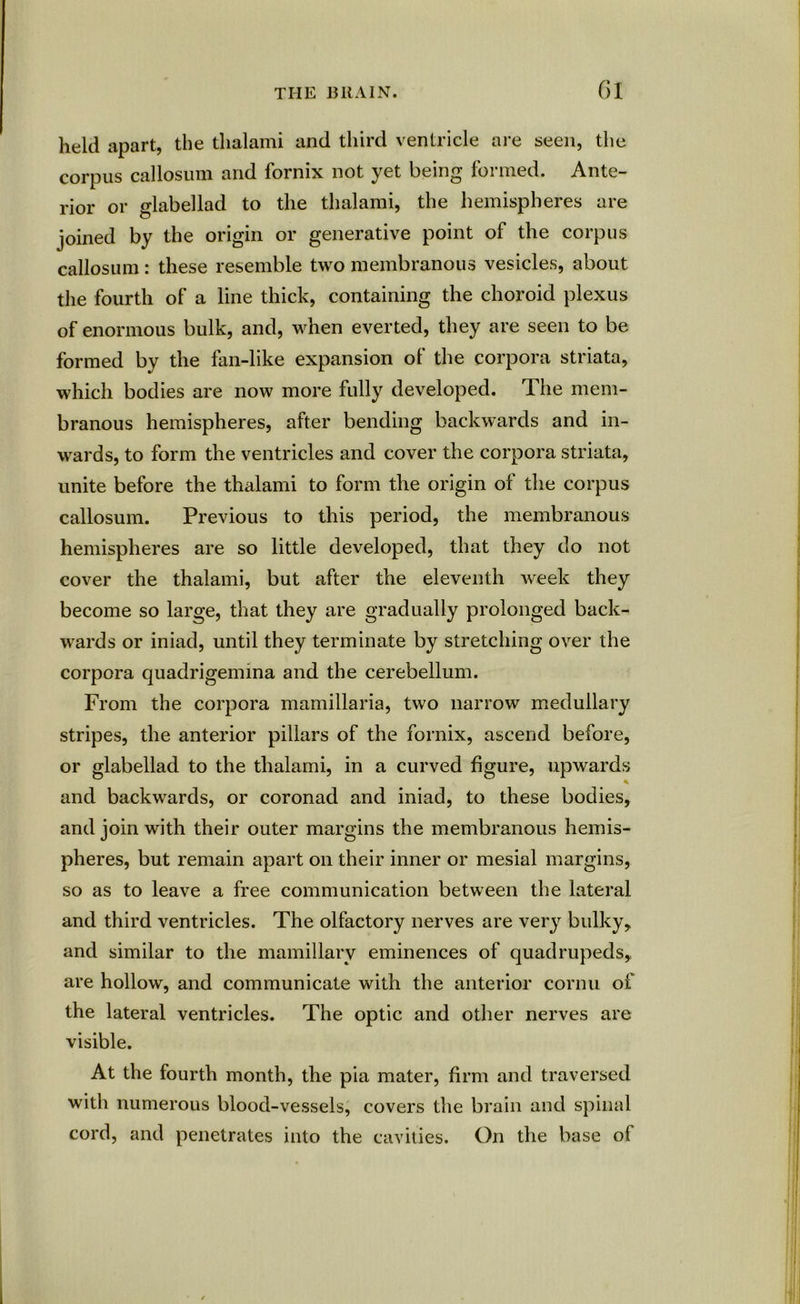 held apart, the tlialami and third ventricle are seen, the corpus callosum and fornix not yet being formed. Ante- rior or glabellad to the tlialami, the hemispheres are joined by the origin or generative point of the corpus callosum: these resemble two membranous vesicles, about the fourth of a line thick, containing the choroid plexus of enormous bulk, and, when everted, they are seen to be formed by the fan-like expansion of the corpora striata, which bodies are now more fully developed. The mem- branous hemispheres, after bending backwards and in- wards, to form the ventricles and cover the corpora striata, unite before the thalami to form the origin of the corpus callosum. Previous to this period, the membranous hemispheres are so little developed, that they do not cover the thalami, but after the eleventh week they become so large, that they are gradually prolonged back- wards or iniad, until they terminate by stretching over the corpora quadrigemina and the cerebellum. From the corpora mamillaria, two narrow medullary stripes, the anterior pillars of the fornix, ascend before, or glabellad to the thalami, in a curved figure, upwards % and backwards, or coronad and iniad, to these bodies, and join with their outer margins the membranous hemis- pheres, but remain apart on their inner or mesial margins, so as to leave a free communication between the lateral and third ventricles. The olfactory nerves are very bulky, and similar to the mamillary eminences of quadrupeds,, are hollow, and communicate with the anterior cornu of the lateral ventricles. The optic and other nerves are visible. At the fourth month, the pia mater, firm and traversed with numerous blood-vessels, covers the brain and spinal cord, and penetrates into the cavities. On the base of