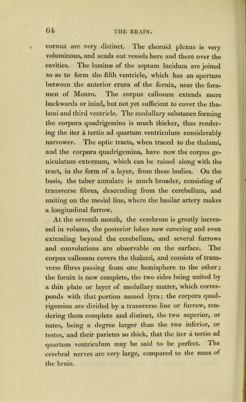 cornua are very distinct. The choroid plexus is very voluminous, and sends out vessels here and there over the cavities. The laminae of the septum lucidum are joined so as to form the fifth ventricle, which has an aperture between the anterior crura of the fornix, near the fora- men of Monro. The corpus callosum extends more backwards or iniad, but not yet sufficient to cover the tha- lami and third ventricle. The medullary substance forming the corpora quadrigemina is much thicker, thus render- ing the iter a tertio ad quartum ventriculum considerably narrower. The optic tracts, when traced to the thalami, and the corpora quadrigemina, have now the corpus ge- niculatum externum, which can be raised along with the tract, in the form of a layer, from these bodies. On the basis, the tuber annulare is much broader, consisting of transverse fibres, descending from the cerebellum, and uniting on the mesial line, where the basilar artery makes a longitudinal furrow. At the seventh month, the cerebrum is greatly increa- sed in volume, the posterior lobes now covering and even extending beyond the cerebellum, and several furrows and convolutions are observable on the surface. The corpus callosum covers the thalami, and consists of trans- verse fibres passing from one hemisphere to the other; the fornix is now complete, the two sides being united by a thin plate or layer of medullary matter, which corres- ponds with that portion named lyra; the corpora quad- rigemina are divided by a transverse line or furrow, ren- dering them complete and distinct, the two superior, or nates, being a degree larger than the two inferior, or testes, and their parietes so thick, that the iter a tertio ad quartum ventriculum may be said to be perfect. The cerebral nerves are very large, compared to the mass of the brain.