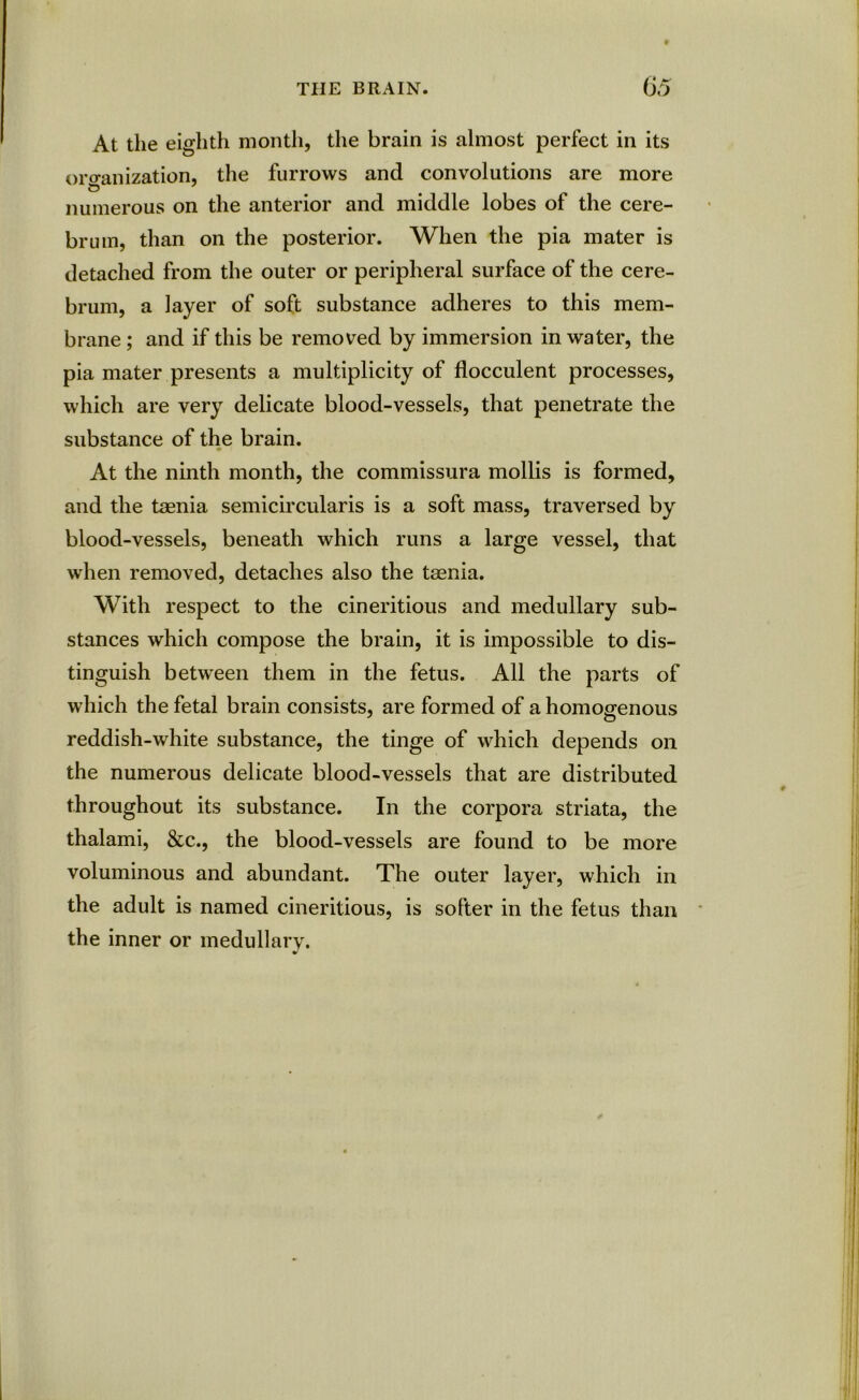 At the eighth month, the brain is almost perfect in its organization, the furrows and convolutions are more numerous on the anterior and middle lobes of the cere- brum, than on the posterior. When the pia mater is detached from the outer or peripheral surface of the cere- brum, a layer of soft substance adheres to this mem- brane ; and if this be removed by immersion in water, the pia mater presents a multiplicity of flocculent processes, which are very delicate blood-vessels, that penetrate the substance of the brain. ♦ At the ninth month, the commissura mollis is formed, and the taenia semicircularis is a soft mass, traversed by blood-vessels, beneath which runs a large vessel, that when removed, detaches also the taenia. With respect to the cineritious and medullary sub- stances which compose the brain, it is impossible to dis- tinguish between them in the fetus. All the parts of which the fetal brain consists, are formed of a homogenous reddish-white substance, the tinge of which depends on the numerous delicate blood-vessels that are distributed throughout its substance. In the corpora striata, the thalami, &c., the blood-vessels are found to be more voluminous and abundant. The outer layer, which in the adult is named cineritious, is softer in the fetus than the inner or medullary.