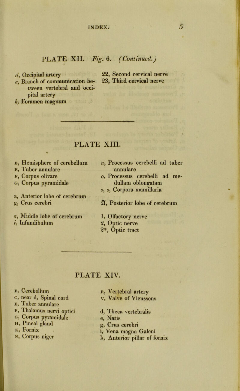 PLATE XII. Fig. 6. (Continued.) d, Occipital artery 22, Second cervical nerve c, Branch of communication be- 23, Third cervical nerve tween vertebral and occi- pital artery Jc, Foramen magnum PLATE XIII. b, Hemisphere of cerebellum e, Tuber annulare f, Corpus olivare g, Corpus pyramidale a, Anterior lobe of cerebrum g, Crus cerebri a, Middle lobe of cerebrum i, Infundibulum n, Processus cerebelli ad tuber annulare o, Processus cerebelli ad me- dullam oblongatam s, s, Corpora mamillaria Posterior lobe of cerebrum 1, Olfactory nerve 2, Optic nerve 2*, Optic tract PLATE XIV. b, Cerebellum c, near d, Spinal cord e, Tuber annulare f, Thalamus nervi optici g, Corpus pyramidale h, Pineal gland k, Fornix n, Corpus niger r, Vertebral artery v, Valve of Vieussens d, Theca vertebralis e, Natis g, Crus cerebri i, Vena magna Galcni k, Anterior pillar of fornix