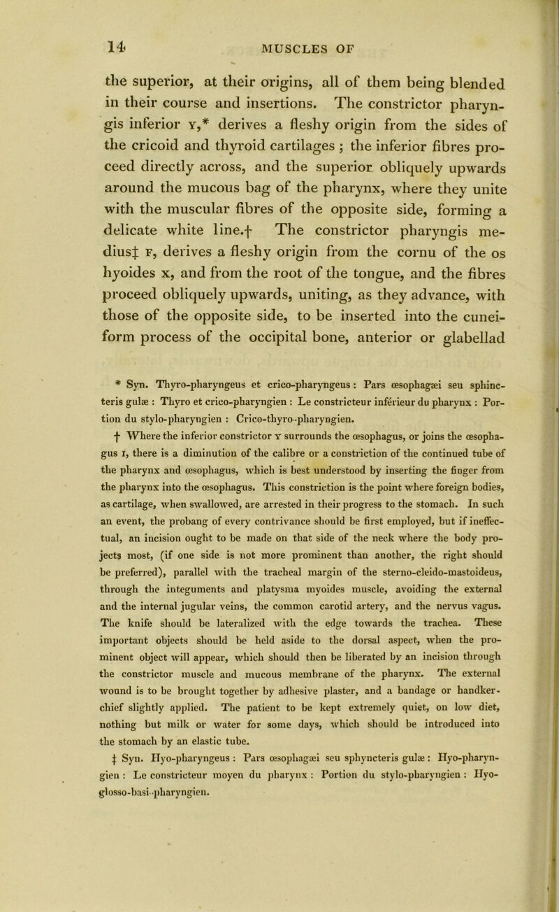 the superior, at their origins, all of them being blended in their course and insertions. The constrictor pharyn- gis inferior y,# derives a fleshy origin from the sides of the cricoid and thyroid cartilages ; the inferior fibres pro- ceed directly across, and the superior obliquely upwards around the mucous bag of the pharynx, where they unite with the muscular fibres of the opposite side, forming a delicate white line.f The constrictor pharyngis me- dius| f, derives a fleshy origin from the cornu of the os hyoides x, and from the root of the tongue, and the fibres proceed obliquely upwards, uniting, as they advance, with those of the opposite side, to be inserted into the cunei- form process of the occipital bone, anterior or glabellad * Syn. Thyro-pharyngeus et crico-pharyngeus : Pars oesophagsei seu sphinc- teris guise : Thyro et crieo-pharyngien : Le constrieteur inferieur du pharynx : Por- tion du stylo-pharyngien : Crico-thyro-pharyngien. f Where the inferior constrictor y surrounds the oesophagus, or joins the oesopha- gus i, there is a diminution of the calibre or a constriction of the continued tube of the pharynx and oesophagus, which is best understood by inserting the finger from the pharynx into the oesophagus. This constriction is the point where foreign bodies, as cartilage, when swallowed, are arrested in their progress to the stomach. In such an event, the probang of every contrivance should be first employed, but if ineffec- tual, an incision ought to be made on that side of the neck where the body pro- jects most, (if one side is not more prominent than another, the right should be preferred), parallel with the tracheal margin of the sterno-cleido-mastoideus, through the integuments and platysma myoides muscle, avoiding the external and the internal jugular veins, the common carotid artery, and the nervus vagus. The knife should be lateralized with the edge towards the trachea. These important objects should be held aside to the dorsal aspect, when the pro- minent object will appear, which should then be liberated by an incision through the constrictor muscle and mucous membrane of the pharynx. The external wound is to be brought together by adhesive plaster, and a bandage or handker- chief slightly applied. The patient to be kept extremely quiet, on low diet, nothing but milk or water for some days, which should be introduced into the stomach by an elastic tube. j: Syn. Hyo-pharyngeus : Pars oesophagsei seu sphyncteris guise: Hyo-pharyn- gien : Le constrieteur moyen du pharynx : Portion du stylo-pharyngien : Ilyo- glosso-basi-pharyngien.