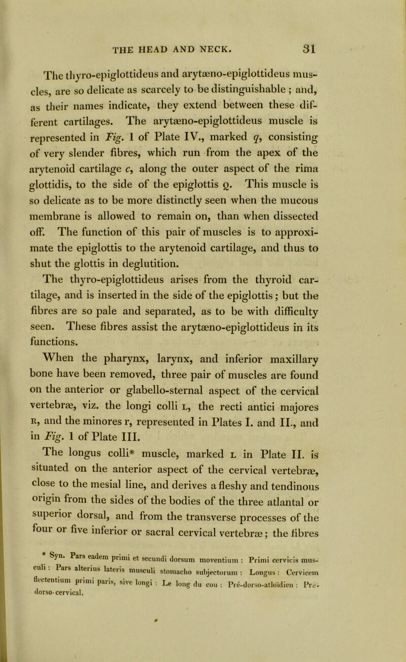 The thyro-epiglottideus and arytaeno-epiglottideus mus- cles, are so delicate as scarcely to be distinguishable ; and, as their names indicate, they extend between these dif- ferent cartilages. The arytaeno-epiglottideus muscle is represented in Fig. 1 of Plate IV., marked q, consisting of very slender fibres, which run from the apex of the arytenoid cartilage c, along the outer aspect of the rima glottidis, to the side of the epiglottis g. This muscle is so delicate as to be more distinctly seen when the mucous membrane is allowed to remain on, than when dissected off. The function of this pair of muscles is to approxi- mate the epiglottis to the arytenoid cartilage, and thus to shut the glottis in deglutition. The thyro-epiglottideus arises from the thyroid car- tilage, and is inserted in the side of the epiglottis; but the fibres are so pale and separated, as to be with difficulty seen. These fibres assist the arytaeno-epiglottideus in its functions. When the pharynx, larynx, and inferior maxillary bone have been removed, three pair of muscles are found on the anterior or glabello-sternal aspect of the cervical vertebrae, viz. the longi colli l, the recti antici majores r, and the minores r, represented in Plates I. and II., and in Fig. 1 of Plate III. The longus colli* muscle, marked l in Plate II. is situated on the anterior aspect of the cervical vertebrae, close to the mesial line, and derives a fleshy and tendinous origin from the sides of the bodies of the three atlantal or superior dorsal, and from the transverse processes of the foui oi five inferior or sacral cervical vertebrae; the fibres Syn. Pars eadem primi et secundi dorsum moventium : Primi ccrvicis mus- u . Pars alteiius lateiis musculi stomaclio subjectorum : Longus: Cervieem flectentium piimi paiis, sive longi : Le long du cou : Pre-dorso-atlo'idien : Pro. dorso-cervical.