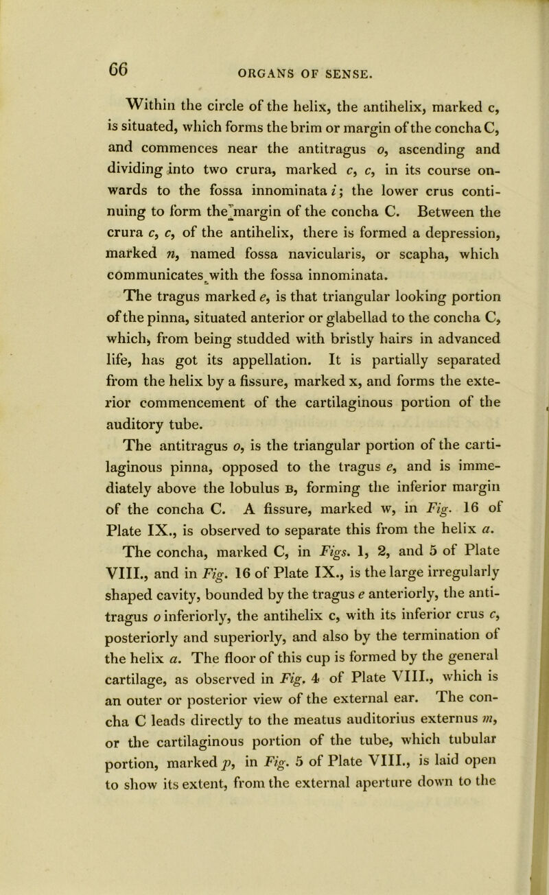 Within the circle of the helix, the antihelix, marked c, is situated, which forms the brim or margin of the concha C, and commences near the antitragus o, ascending and dividing into two crura, marked c, c, in its course on- wards to the fossa innominata2; the lower crus conti- nuing to form thejnargin of the concha C. Between the crura c9 c, of the antihelix, there is formed a depression, marked n, named fossa navicularis, or scapha, which communicates^with the fossa innominata. The tragus marked e, is that triangular looking portion of the pinna, situated anterior or glabellad to the concha C, which, from being studded with bristly hairs in advanced life, has got its appellation. It is partially separated from the helix by a fissure, marked x, and forms the exte- rior commencement of the cartilaginous portion of the auditory tube. The antitragus o, is the triangular portion of the carti- laginous pinna, opposed to the tragus e9 and is imme- diately above the lobulus b, forming the inferior margin of the concha C. A fissure, marked w, in Fig. 16 of Plate IX., is observed to separate this from the helix a. The concha, marked C, in Figs. 1, 2, and 5 of Plate VIII., and in Fig. 16 of Plate IX., is the large irregularly shaped cavity, bounded by the tragus e anteriorly, the anti- tragus o inferiorly, the antihelix c, with its inferior crus c, posteriorly and superiorly, and also by the termination ot the helix a. The floor of this cup is formed by the general cartilage, as observed in Fig. 4 of Plate \ III., which is an outer or posterior view of the external ear. The con- cha C leads directly to the meatus auditorius externus m, or the cartilaginous portion of the tube, which tubular portion, marked p, in Fig. 5 of Plate VIII., is laid open to show its extent, from the external aperture down to the