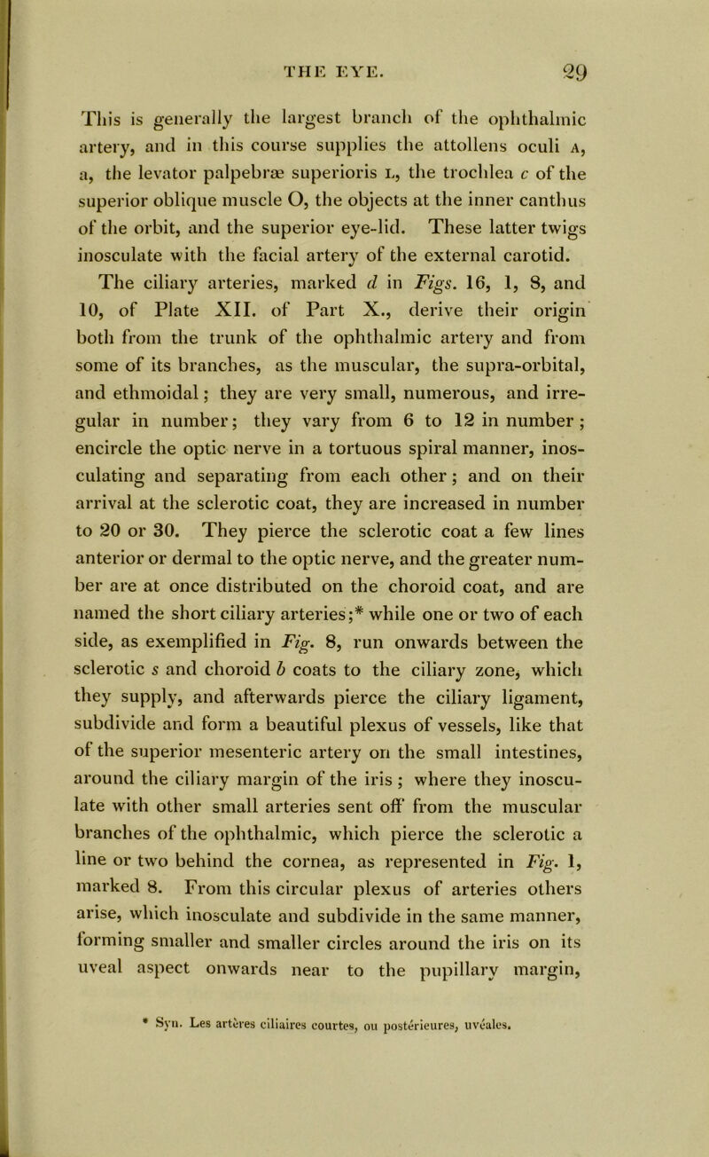 This is generally the largest branch of the ophthalmic artery, and in this course supplies the attollens oculi a, a, the levator palpebrae superioris l, the trochlea c of the superior oblique muscle O, the objects at the inner canthus of the orbit, and the superior eye-lid. These latter twigs inosculate with the facial artery of the external carotid. The ciliary arteries, marked d in Figs. 16, 1, 8, and 10, of Plate XII. of Part X., derive their origin both from the trunk of the ophthalmic artery and from some of its branches, as the muscular, the supra-orbital, and ethmoidal; they are very small, numerous, and irre- gular in number; they vary from 6 to 12 in number ; encircle the optic nerve in a tortuous spiral manner, inos- culating and separating from each other; and on their arrival at the sclerotic coat, they are increased in number to 20 or 30. They pierce the sclerotic coat a few lines anterior or dermal to the optic nerve, and the greater num- ber are at once distributed on the choroid coat, and are named the short ciliary arteries;* while one or two of each side, as exemplified in Fig. 8, run onwards between the sclerotic s and choroid b coats to the ciliary zone, which they supply, and afterwards pierce the ciliary ligament, subdivide and form a beautiful plexus of vessels, like that of the superior mesenteric artery on the small intestines, around the ciliary margin of the iris ; where they inoscu- late with other small arteries sent off* from the muscular branches of the ophthalmic, which pierce the sclerotic a line or two behind the cornea, as represented in Fig. 1, marked 8. From this circular plexus of arteries others arise, which inosculate and subdivide in the same manner, iorming smaller and smaller circles around the iris on its uveal aspect onwards near to the pupillary margin, * Syn. Les arteres ciliaires courtes, ou posterieures, uveales.