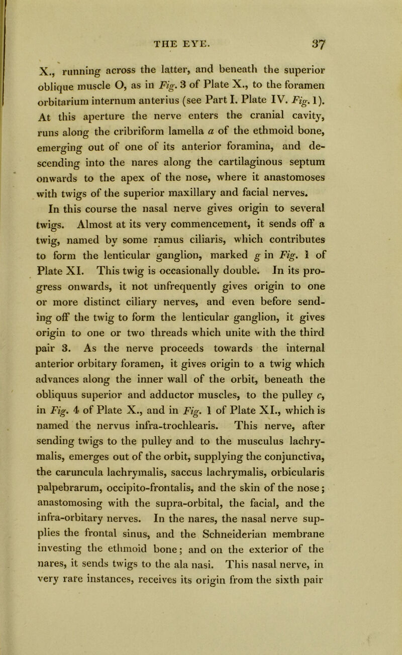 X., running across the latter, and beneath the superior oblique muscle O, as in Fig. 3 of Plate X., to the foramen orbitarium internum anterius (see Part I. Plate IV. Fig.l). At this aperture the nerve enters the cranial cavity, runs along the cribriform lamella a of the ethmoid bone, emerging out of one of its anterior foramina, and de- scending into the nares along the cartilaginous septum onwards to the apex of the nose, where it anastomoses with twigs of the superior maxillary and facial nerves. In this course the nasal nerve gives origin to several twigs. Almost at its very commencement, it sends off a twig, named by some ramus ciliaris, which contributes to form the lenticular ganglion, marked g in Fig. 1 of Plate XI. This twig is occasionally double. In its pro- gress onwards, it not unfrequently gives origin to one or more distinct ciliary nerves, and even before send- ing off the twig to form the lenticular ganglion, it gives origin to one or two threads which unite with the third pair 3. As the nerve proceeds towards the internal anterior orbitary foramen, it gives origin to a twig which advances along the inner wall of the orbit, beneath the obliquus superior and adductor muscles, to the pulley c, in Fig. 4 of Plate X., and in Fig. 1 of Plate XI., which is named the nervus infra-trochlearis. This nerve, after sending twigs to the pulley and to the musculus lachry- malis, emerges out of the orbit, supplying the conjunctiva, the caruncula lachrymalis, saccus lachrymalis, orbicularis palpebrarum, occipito-frontalis, and the skin of the nose; anastomosing with the supra-orbital, the facial, and the infra-orbitary nerves. In the nares, the nasal nerve sup- plies the frontal sinus, and the Schneiderian membrane investing the ethmoid bone; and on the exterior of the nares, it sends twigs to the ala nasi. This nasal nerve, in very rare instances, receives its origin from the sixth pair