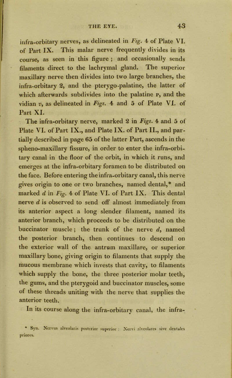 infra-orbitary nerves, as delineated in Fig. 4 of Plate VI. of Part IX. This malar nerve frequently divides in its course, as seen in this figure ; and occasionally sends filaments direct to the lachrymal gland. The superior maxillary nerve then divides into two large branches, the infra-orbitary 2, and the pterygo-palatine, the latter of which afterwards subdivides into the palatine p, and the vidian v, as delineated in Figs. 4 and 5 of Plate VI. of Part XI. The infra-orbitary nerve, marked 2 in Figs. 4 and 5 of Plate VI. of Part IX., and Plate IX. of Part II., and par- tially described in page 65 of the latter Part, ascends in the spheno-maxillary fissure, in order to enter the infra-orbi- tary canal in the floor of the orbit, in which it runs, and emerges at the infra-orbitary foramen to be distributed on the face. Before entering the infra-orbitary canal, this nerve gives origin to one or two branches, named dental,* and marked d in Fig. 4 of Plate VI. of Part IX. This dental nerve d is observed to send ofF almost immediately from its anterior aspect a long slender filament, named its anterior branch, which proceeds to be distributed on the buccinator muscle ; the trunk of the nerve d, named the posterior branch, then continues to descend on the exterior wall of the antrum maxillare, or superior maxillary bone, giving origin to filaments that supply the mucous membrane which invests that cavity, to filaments which supply the bone, the three posterior molar teeth, the gums, and the pterygoid and buccinator muscles, some of these threads uniting with the nerve that supplies the anterior teeth. In its course along the infra-orbitary canal, the infra- * Syn. Nervus alveoluris posterior superior : Nervi alvcolares sive dentales priores.