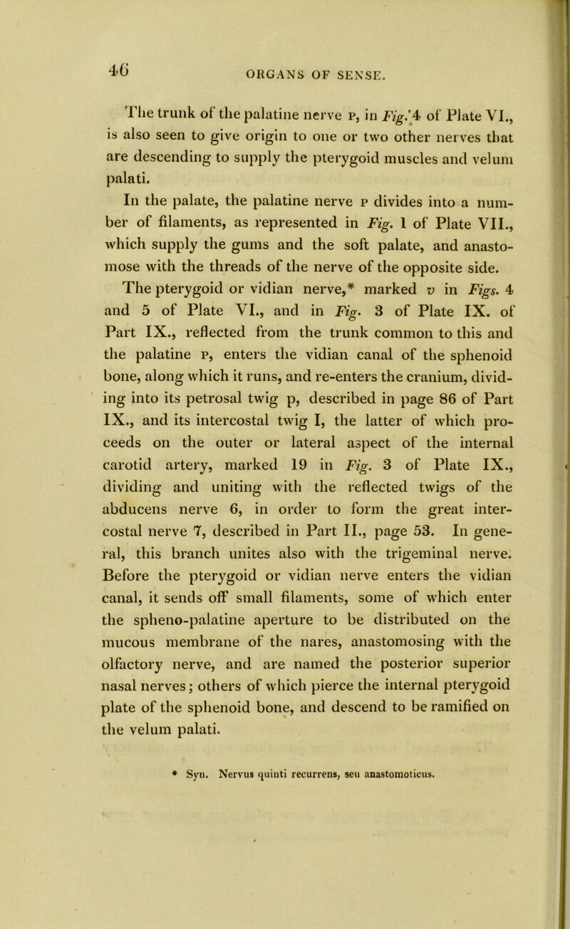 The trunk of the palatine nerve p, in Fig.'4 of Plate VI., is also seen to give origin to one or two other nerves that are descending to supply the pterygoid muscles and velum palati. In the palate, the palatine nerve p divides into a num- ber of filaments, as represented in Fig. 1 of Plate VII., which supply the gums and the soft palate, and anasto- mose with the threads of the nerve of the opposite side. The pterygoid or vidian nerve,* marked v in Figs. 4 and 5 of Plate VI., and in Fig. 3 of Plate IX. of Part IX., reflected from the trunk common to this and the palatine p, enters the vidian canal of the sphenoid bone, along which it runs, and re-enters the cranium, divid- ing into its petrosal twig p, described in page 86 of Part IX., and its intercostal twig I, the latter of which pro- ceeds on the outer or lateral aspect of the internal carotid artery, marked 19 in Fig. 3 of Plate IX., dividing and uniting with the reflected twigs of the abducens nerve 6, in order to form the great inter- costal nerve 7, described in Part II., page 53. In gene- ral, this branch unites also with the trigeminal nerve. Before the pterygoid or vidian nerve enters the vidian canal, it sends off small filaments, some of which enter the spheno-palatine aperture to be distributed on the mucous membrane of the nares, anastomosing with the olfactory nerve, and are named the posterior superior nasal nerves; others of which pierce the internal pterygoid plate of the sphenoid bone, and descend to be ramified on the velum palati. Syn. Nervus quinti recurrens, seu anastomoticus.