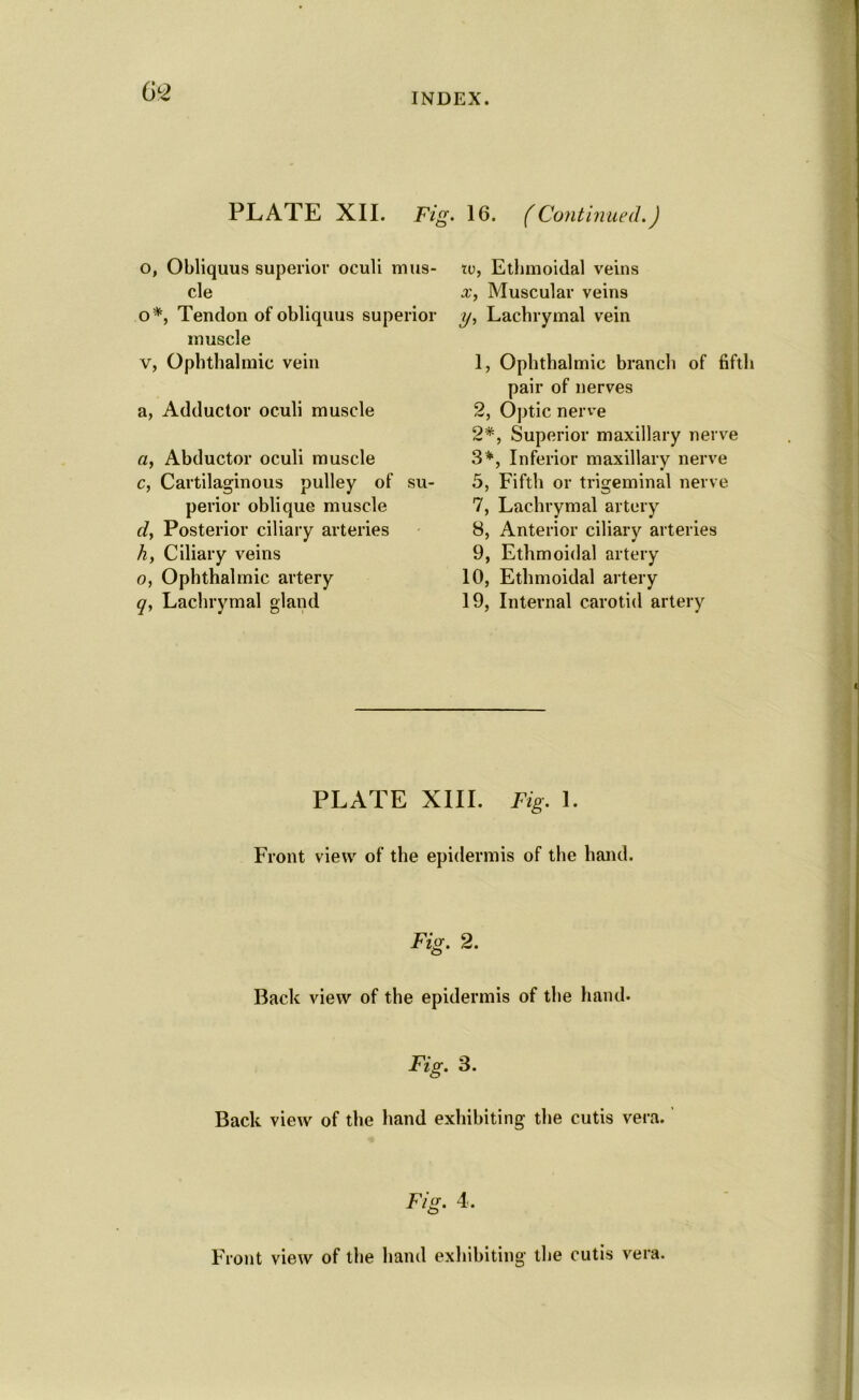 PLATE XII. Fig. o, Obliquus superior oculi mus- cle o*, Tendon of obliquus superior muscle v, Ophthalmic vein a, Adductor oculi muscle a, Abductor oculi muscle c, Cartilaginous pulley of su- perior oblique muscle dy Posterior ciliary arteries hy Ciliary veins o, Ophthalmic artery q, Lachrymal gland 16. ( Continued.) XCy Ethmoidal veins x, Muscular veins t/y Lachrymal vein 1, Ophthalmic branch of fifth pair of nerves 2, Optic nerve 2*, Superior maxillary nerve 3*, Inferior maxillary nerve 5, Fifth or trigeminal nerve 7, Lachrymal artery 8, Anterior ciliary arteries 9, Ethmoidal artery 10, Ethmoidal artery 19, Internal carotid artery PLATE XIII. Fig. 1. Front view of the epidermis of the hand. Fig. 2. Back view of the epidermis of the hand. Fig. 3. Back view of the hand exhibiting the cutis vera. 4. Front view of the hand exhibiting the cutis vera.