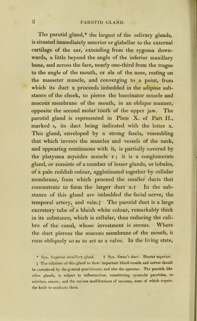 o PAROTID GLAND. The parotid gland,* the largest of the salivary glands, is situated immediately anterior or glabellar to the external cartilage of the ear, extending from the zygoma down- wards, a little beyond the angle of the inferior maxillary bone, and across the face, nearly one-third from the tragus to the angle of the mouth, or ala of the nose, resting on the masseter muscle, and converging to a point, from which its duct x proceeds imbedded in the adipose sub- stance of the cheek, to pierce the buccinator muscle and mucous membrane of the mouth, in an oblique manner, opposite the second molar tooth of the upper jaw. The parotid gland is represented in Plate X. of Part II., marked s, its duct being indicated with the letter x. This gland, enveloped by a strong fascia, resembling that which invests the muscles and vessels of the neck, and appearing continuous with it, is partially covered by the platysma myoides muscle f ; it is a conglomerate gland, or consists of a number of lesser glands, or lobules, of a pale reddish colour, agglutinated together by cellular membrane, from which proceed the smaller ducts that concentrate to form the larger duct x.f In the sub- stance of this gland are imbedded the facial nerve, the temporal artery, and vein4 The parotid duct is a large excretory tube of a bluish white colour, remarkably thick in its substance, which is cellular, thus reducing the cali- bre of the canal, whose investment is serous. Where the duct pierces the mucous membrane of the mouth, it runs obliquely so as to act as a valve. In the living state, * Syr.. Superior maxillary gland. f Syn. Steno’s duct: Ductus superior. J The relations of this gland to these important blood-vessels and nerves should be considered by the general practitioner, and also the operator. The parotid, like other glands, is subject to inflammation, constituting eynanehe parotidea, to scirrhus, cancer, and the various modifications of sarcoma, some of which require the knife to eradicate them.