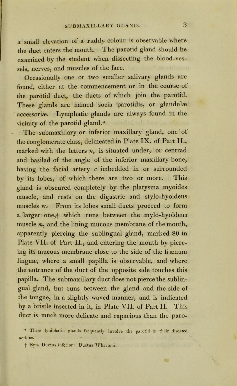 a small elevation of a ruddy colour is observable where the duct enters the mouth. The parotid gland should be examined by the student when dissecting the blood-ves- sels, nerves, and muscles of the face. Occasionally one or two smaller salivary glands are found, either at the commencement or in the course ol the parotid duct, the ducts of which join the parotid. These glands are named socia parotidis, or glandulae accessorise. Lymphatic glands are always found in the vicinity of the parotid gland.* The submaxillary or inferior maxillary gland, one of the conglomerate class, delineated in Plate IX. of Part II., marked with the letters ?i, is situated under, or centrad and basilad of the angle of the inferior maxillary bone, having the facial artery c imbedded in or surrounded by its lobes, of which there are two or more. This gland is obscured completely by the platysma myoides muscle, and rests on the digastric and stylo-hyoideus muscles w. From its lobes small ducts proceed to form a larger one,f which runs between the mylo-hyoideus muscle m, and the lining mucous membrane of the mouth, apparently piercing the sublingual gland, marked 80 in Plate VII. of Part II., and entering the mouth by pierc- ing its mucous membrane close to the side of the fraenum linguae, where a small papilla is observable, and where the entrance of the duct of the opposite side touches this papilla. The submaxillary duct does not pierce the sublin- gual gland, but runs between the gland and the side of the tongue, in a slightly waved manner, and is indicated by a bristle inserted in it, in Plate VII. of Part II. This duct is much more delicate and capacious than the paro- * These lymphatic glands frequently involve the parotid ia their diseased actions. f Syu. Ductus inferior : Ductus Whartoni.