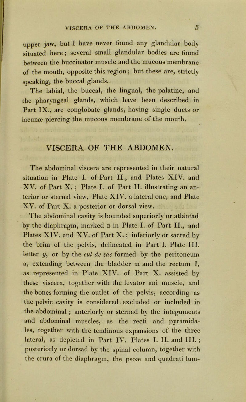 upper jaw, but I have never found any glandular body situated here; several small glandular bodies are found between the buccinator muscle and the mucous membrane of the mouth, opposite this region; but these are, strictly speaking, the buccal glands. The labial, the buccal, the lingual, the palatine, and the pharyngeal glands, which have been described in Part IX., are conglobate glands, having single ducts or lacunae piercing the mucous membrane of the mouth. VISCERA OF THE ABDOMEN. The abdominal viscera are represented in their natural situation in Plate I. of Part II., and Plates XIV. and XV. of Part X. ; Plate I. of Part II. illustrating an an- terior or sternal view, Plate XIV. a lateral one, and Plate XV. of Part X. a posterior or dorsal view. The abdominal cavity is bounded superiorly or atlantad by the diaphragm, marked b in Plate I. of Part II., and Plates XIV. and XV. of Part X. ; inferiorly or sacrad by the brim of the pelvis, delineated in Part I. Plate III. letter j/, or by the cul de sac formed by the peritoneum a, extending between the bladder m and the rectum I, as represented in Plate XIV. of Part X. assisted by these viscera, together with the levator ani muscle, and the bones forming the outlet of the pelvis, according as the pelvic cavity is considered excluded or included in the abdominal ; anteriorly or sternad by the integuments and abdominal muscles, as the recti and pyramida- les, together with the tendinous expansions of the three lateral, as depicted in Part IV. Plates I. II. and III.; posteriorly or dorsad by the spinal column, together with the crura of the diaphragm, the psoae and quadrati lum-