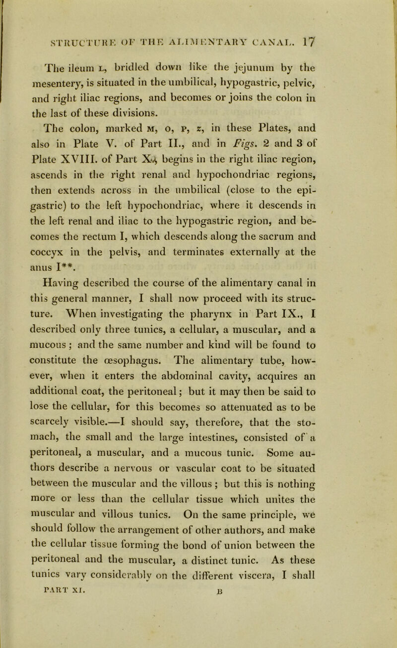 The ileum l, bridled down like the jejunum by the mesentery, is situated in the umbilical, hypogastric, pelvic, and right iliac regions, and becomes or joins the colon in the last of these divisions. The colon, marked m, o, p, z, in these Plates, and also in Plate V. of Part II., and in Figs. 2 and 3 of Plate XVIII. of Part X*4 begins in the right iliac region, ascends in the right renal and hypochondriac regions, r then extends across in the umbilical (close to the epi- gastric) to the left hypochondriac, where it descends in the left renal and iliac to the hypogastric region, and be- comes the rectum I, which descends along the sacrum and coccyx in the pelvis, and terminates externally at the anus I#*. Having described the course of the alimentary canal in this general manner, I shall now proceed with its struc- ture. When investigating the pharynx in Part IX., I described only three tunics, a cellular, a muscular, and a mucous ; and the same number and kind will be found to constitute the oesophagus. The alimentary tube, how- ever, when it enters the abdominal cavity, acquires an additional coat, the peritoneal; but it may then be said to lose the cellular, for this becomes so attenuated as to be scarcely visible.—I should say, therefore, that the sto- mach, the small and the large intestines, consisted of a peritoneal, a muscular, and a mucous tunic. Some au- thors describe a nervous or vascular coat to be situated between the muscular and the villous ; but this is nothing more or less than the cellular tissue which unites the muscular and villous tunics. On the same principle, we should follow the arrangement of other authors, and make the cellular tissue forming the bond of union between the peritoneal and the muscular, a distinct tunic. As these tunics vary considerably on the different viscera, I shall PART XI. 13