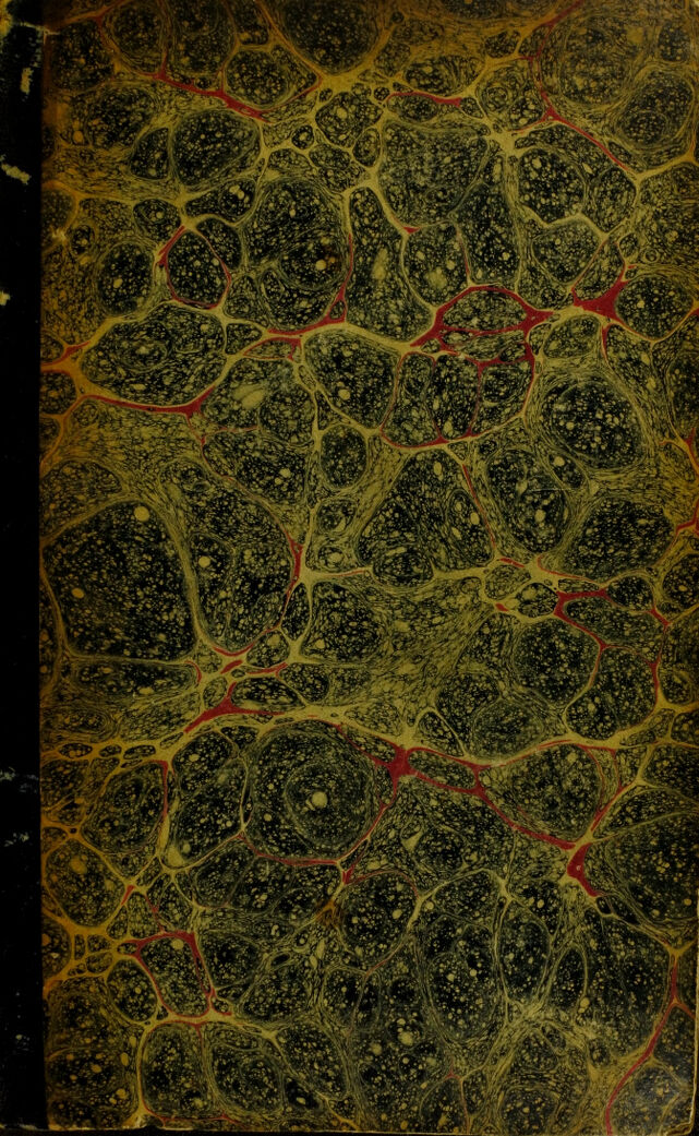 digitised image 1