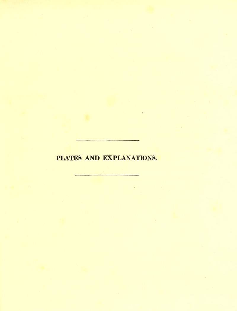 PLATES AND EXPLANATIONS.