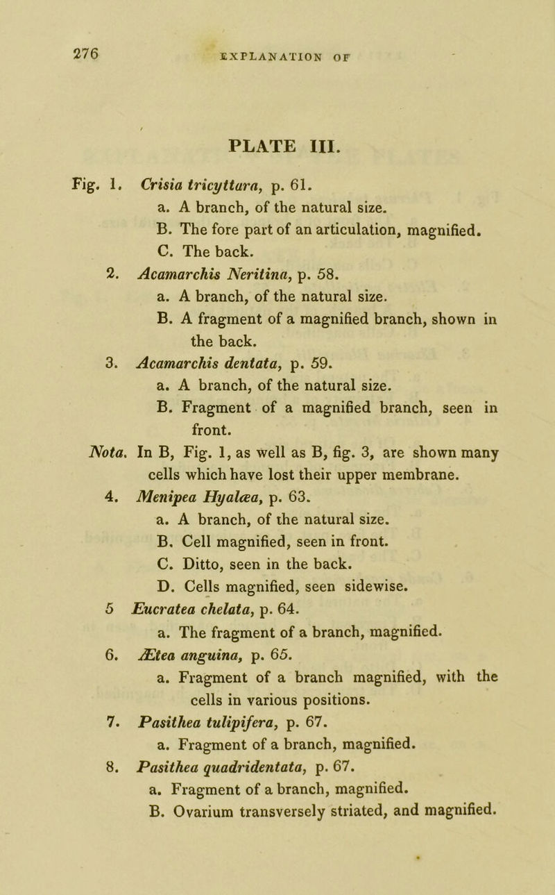 PLATE III. Fig. 1, Crisia tricyttara, p. 61. a. A branch, of the natural size. B. The fore part of an articulation, magnified. C. The back. 2. Acamarchis Neritina, p. 58. a. A branch, of the natural size. B. A fragment of a magnified branch, shown in the back. 3. Acamarchis dentata, p. 59. a. A branch, of the natural size. B. Fragment of a magnified branch, seen in front. 'Noia. In B, Fig. 1, as well as B, fig. 3, are shown many cells which have lost their upper membrane. 4. Menipea Hyalaa, p. 63. a. A branch, of the natural size. B. Cell magnified, seen in front. C. Ditto, seen in the back. D. Cells magnified, seen sidewise. 5 Eucratea chelataf p. 64. a. The fragment of a branch, magnified. 6. ^tea anguina, p. 65. a. Fragment of a branch magnified, with the cells in various positions. 7. Pasithea tulipifera, p. 67. a. Fragment of a branch, magnified. 8. Pasithea quadridentatOy p. 67. a. Fragment of a branch, magnified. B. Ovarium transversely striated, and magnified.