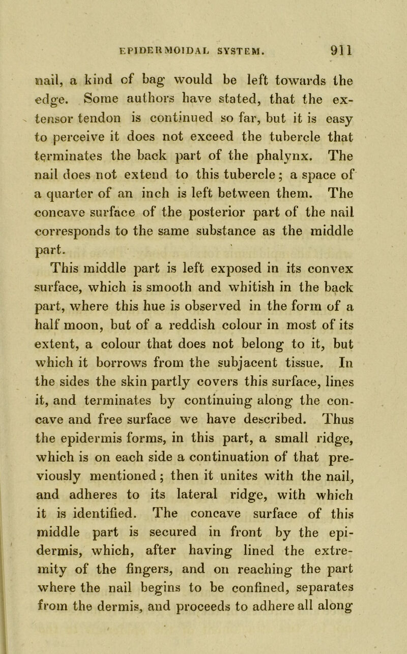 nail, a kind of bag would be left towards the edo'e. Some authors have stated, that the ex- tensor tendon is continued so far, but it is easy to perceive it does not exceed the tubercle that terminates the back part of the phalynx. The nail does not extend to this tubercle; a space of a quarter of an inch is left between them. The concave surface of the posterior part of the nail corresponds to the same substance as the middle part. This middle part is left exposed in its convex surface, which is smooth and whitish in the back part, where this hue is observed in the form of a half moon, but of a reddish colour in most of its extent, a colour that does not belong to it, but which it borrows from the subjacent tissue. In the sides the skin partly covers this surface, lines it, and terminates by continuing along the con- cave and free surface we have described. Thus the epidermis forms, in this part, a small ridge, which is on each side a continuation of that pre- viously mentioned; then it unites with the nail, and adheres to its lateral ridge, with which it is identified. The concave surface of this middle part is secured in front by the epi- dermis, which, after having lined the extre- mity of the fingers, and on reaching the part where the nail begins to be confined, separates from the dermis, and proceeds to adhere all along