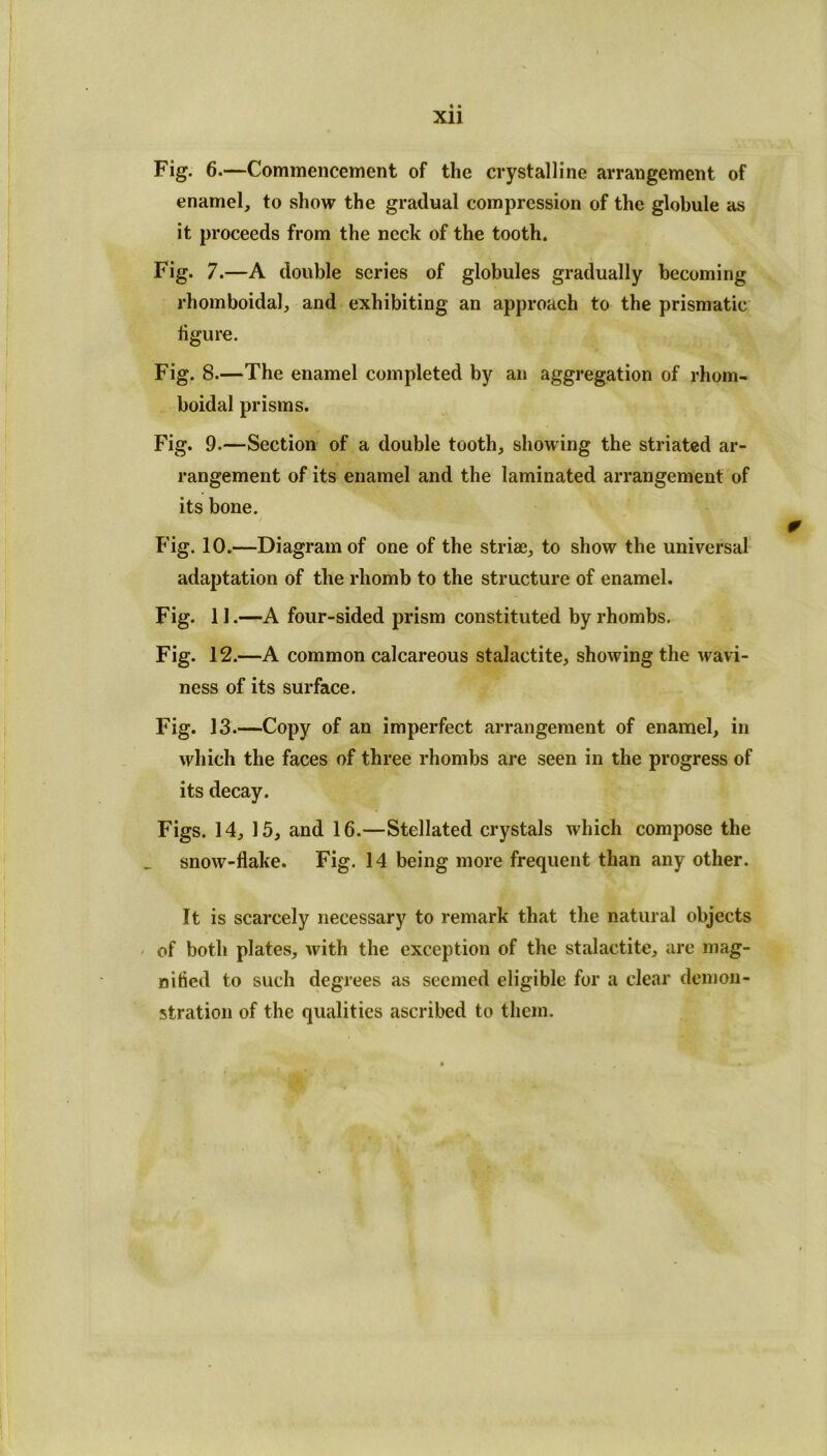 Xll Fig. 6.—Commencement of the crystalline arrangement of enamel, to show the gradual compression of the globule as it proceeds from the neck of the tooth. Fig. 7.—A double series of globules gradually becoming rhomboidal, and exhibiting an approach to the prismatic figure. Fig. 8.—The enamel completed by an aggregation of rhom- boidal prisms. Fig. 9.—Section of a double tooth, showing the striated ar- rangement of its enamel and the laminated arrangement of its bone. Fig. 10.—Diagram of one of the strise, to show the universal adaptation of the rhomb to the structure of enamel. Fig. 11.—A four-sided prism constituted by rhombs. Fig. 12.—A common calcareous stalactite, showing the wavi- ness of its surface. Fig. 13.—Copy of an imperfect arrangement of enamel, in which the faces of three rhombs are seen in the progress of its decay. Figs. 14, 15, and 16.—Stellated crystals which compose the snow-flake. Fig. 14 being more frequent than any other. It is scarcely necessary to remark that the natural objects of both plates, with the exception of the stalactite, are mag- nified to such degrees as seemed eligible for a clear demon- stration of the qualities ascribed to them.