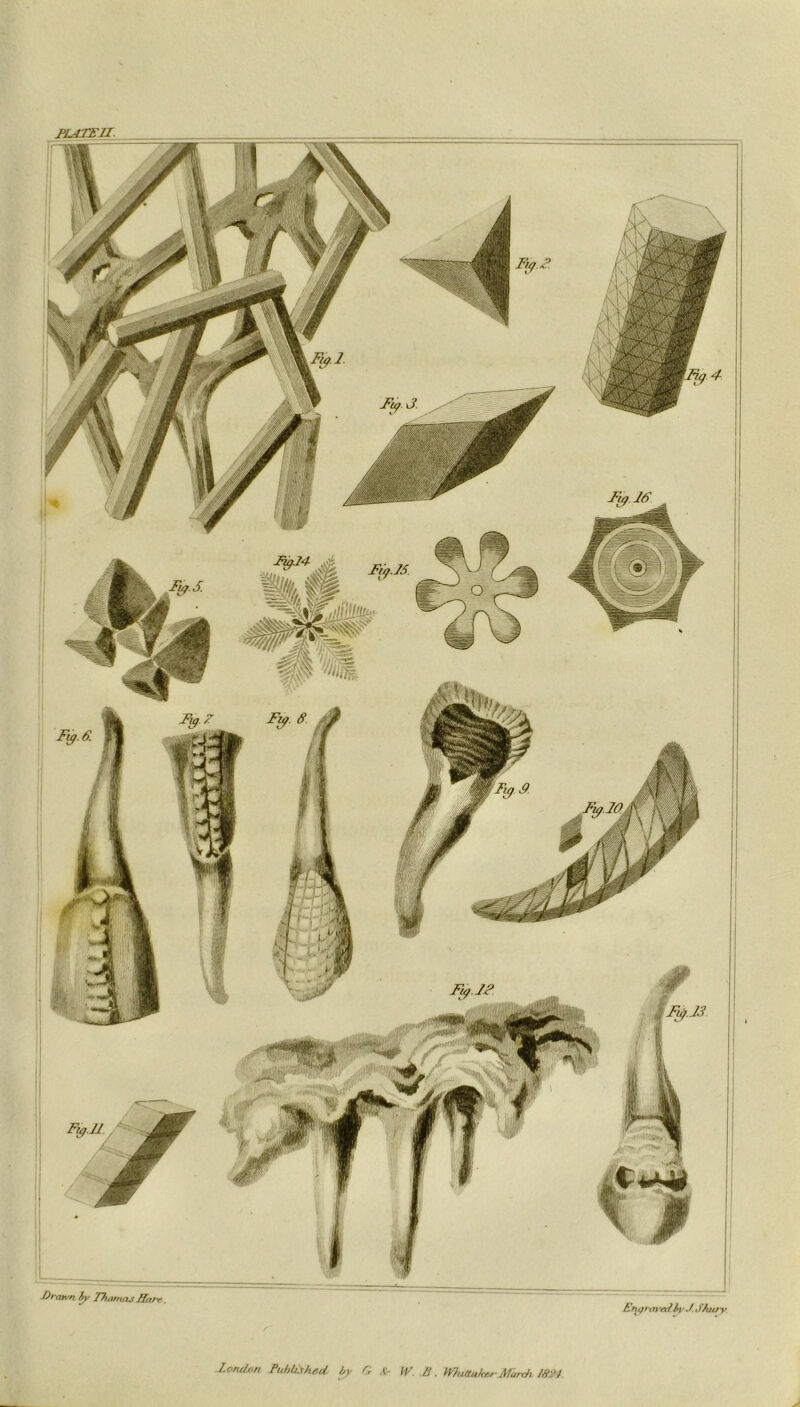 Ej^qravcclhv J.J Vuei v londfjn Published, by G &■ W. £. Whittaker.Manh 1894 J