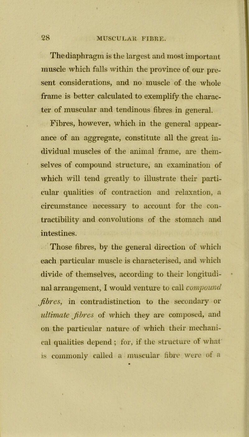 The diaphragm is the largest and most important muscle which falls within the province of our pre- sent considerations, and no muscle of the whole frame is better calculated to exemplify the charac- ter of muscular and tendinous fibres in general. Fibres, however, which in the general appear- ance of an aggregate, constitute all the great in- dividual muscles of the animal frame, are them- selves of compound structure, an examination of which will tend greatly to illustrate their parti- cular qualities of contraction and relaxation, a circumstance necessary to account for the con- tractibility and convolutions of the stomach and intestines. Those fibres, by the general direction of which each particular muscle is characterised, and which divide of themselves, according to their longitudi- nal arrangement, I would venture to call compound fibres, in contradistinction to the secondary or ultimate fibres of which they are composed, and on the particular nature of which their mechani- cal qualities depend ; for, if the structure of what is commonly called a muscular fibre were of a