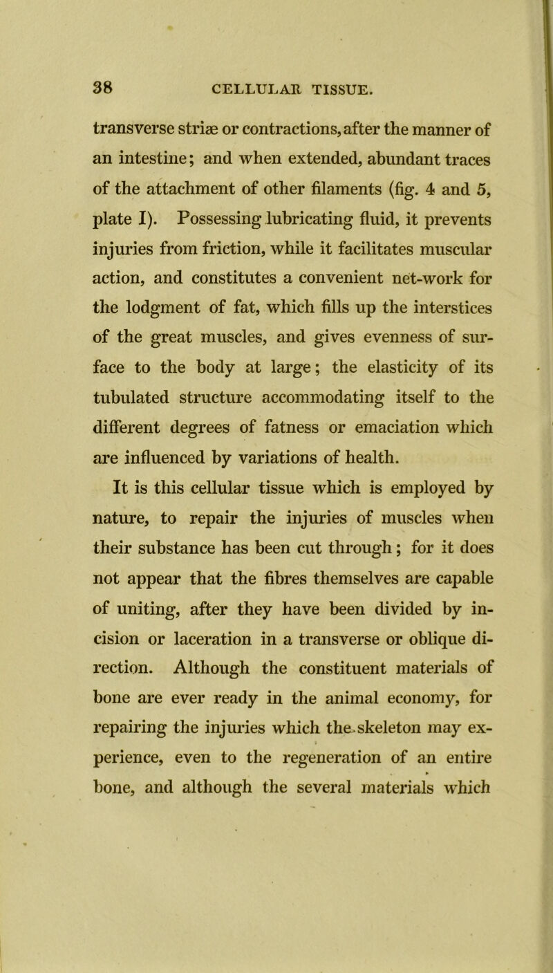 transverse striae or contractions, after the manner of an intestine; and when extended, abundant traces of the attachment of other filaments (fig. 4 and 5, plate I). Possessing lubricating fluid, it prevents injuries from friction, while it facilitates muscular action, and constitutes a convenient net-work for the lodgment of fat, which fills up the interstices of the great muscles, and gives evenness of sur- face to the body at large; the elasticity of its tubulated structure accommodating itself to the different degrees of fatness or emaciation which are influenced by variations of health. It is this cellular tissue which is employed by nature, to repair the injuries of muscles when their substance has been cut through; for it does not appear that the fibres themselves are capable of uniting, after they have been divided by in- cision or laceration in a transverse or oblique di- rection. Although the constituent materials of bone are ever ready in the animal economy, for repairing the injuries which the, skeleton may ex- » perience, even to the regeneration of an entire % ► hone, and although the several materials which