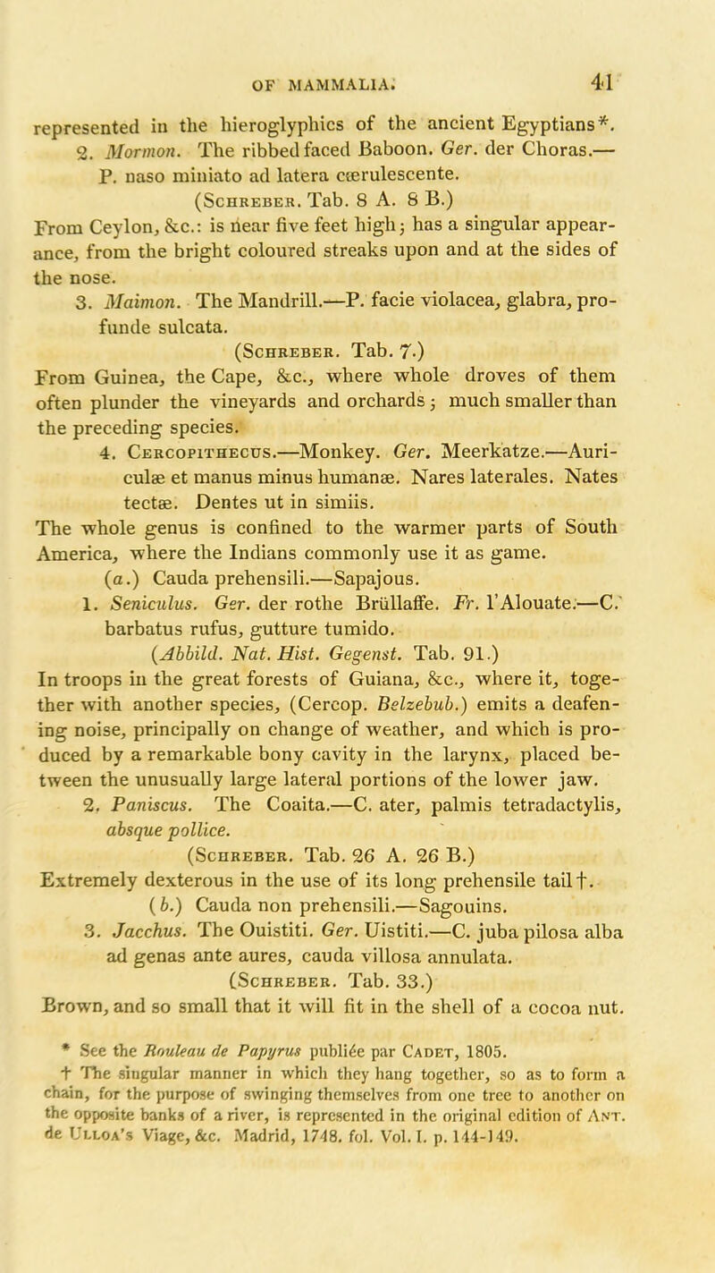 represented in the hieroglyphics of the ancient Egyptians*. 2. Mormon. The ribbed faced Baboon. Ger. der Choras.— P. naso miniato ad latera cterulescente. (Schreber. Tab. 8 A. 8 B.) From Ceylon, &c.: is near five feet high; has a singular appear- ance, from the bright coloured streaks upon and at the sides of the nose. 3. Maimon. The Mandrill.—P. facie violacea, glabra, pro- funde sulcata. (Schreber. Tab. 7-) From Guinea, the Cape, &c., where whole droves of them often plunder the vineyards and orchards ; much smaller than the preceding species. 4. Cercopithecus.—Monkey. Ger. Meerkatze.—Auri- culae et manus minus humanae. Nares laterales. Nates tectae. Dentes ut in simiis. The whole genus is confined to the warmer parts of South America, where the Indians commonly use it as game. (a.) Cauda prehensili.—Sapajous. 1. Seniculus. Ger. der rothe Briillaffe. Fr. l’Alouate.—C.' barbatus rufus, gutture tumido. (Abbild. Nat. Hist. Gegenst. Tab. 91.) In troops in the great forests of Guiana, &c., where it, toge- ther with another species, (Cercop. Belzebub.) emits a deafen- ing noise, principally on change of weather, and which is pro- duced by a remarkable bony cavity in the larynx, placed be- tween the unusually large lateral portions of the lower jaw. 2. Paniscus. The Coaita.—C. ater, palmis tetradactylis, absque pollice. (Schreber. Tab. 26 A. 26 B.) Extremely dexterous in the use of its long prehensile tail T. (b.) Cauda non prehensili.—Sagouins. 3. Jacchus. The Ouistiti. Ger. Uistiti.—C. juba pilosa alba ad genas ante aures, cauda villosa annulata. (Schreber. Tab. 33.) Brown, and so small that it will fit in the shell of a cocoa nut. * See the Rouleau de Papyrus public par Cadet, 1805. t The singular manner in which they hang together, so as to form a chain, for the purpose of swinging themselves from one tree to another on the opposite banks of a river, is represented in the original edition of Ant. de Ulloa’s Viagc, &c. Madrid, 1748. fol. Vol. I. p. 144-149.