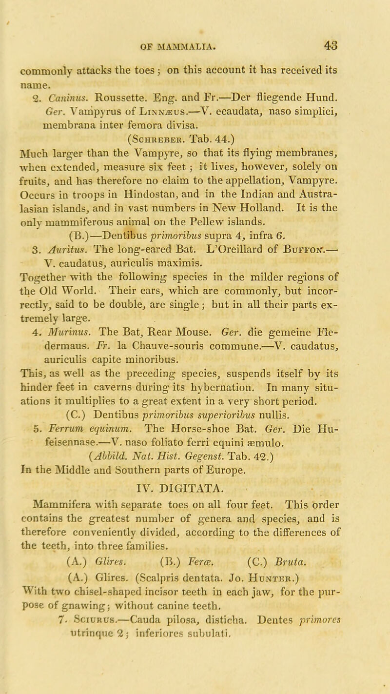 commonly attacks the toes ; on this account it has received its name. 2. Caninus. Roussette. Eng. and Fr.—Der fliegende Hund. Ger. Vampyrus of Linnaeus.—V. ecaudata, naso simplici, membrana inter femora divisa. (Schreber. Tab. 44.) Much larger than the Vampyre, so that its flying membranes, when extended, measure six feetj it lives, however, solely on fruits, and has therefore no claim to the appellation, Vampyre. Occurs in troops in Hindostan, and in the Indian and Austra- lasian islands, and in vast numbers in New Holland. It is the only mammiferous animal on the Pellew islands. (B.)—Dentibus primoribus supra 4, infra 6. 3. Auritus. The long-eared Bat. L’Oreillard of Buffon”.— V. caudatus, auriculis maximis. Together with the following species in the milder regions of the Old World. Their ears, which are commonly, but incor- rectly, said to be double, are single; but in all their parts ex- tremely large. 4. Murinus. The Bat, Rear Mouse. Ger. die gemeine Fle- dermaus. Fr. la Chauve-souris commune.—V. caudatus, auriculis capite minoribus. This, as well as the preceding species, suspends itself by its hinder feet in caverns during its hybernation. In many situ- ations it multiplies to a great extent in a very short period. (C.) Dentibus primoribus superioribus nullis. 5. Ferrum equinum. The Horse-shoe Bat. Ger. Die IIu- feisennase.—V. naso foliato ferri equini aemulo. (Abbild. Nat. Hist. Gegenst. Tab. 42.) In the Middle and Southern parts of Europe. IV. DIGITATA. Mammifera with separate toes on all four feet. This order contains the greatest number of genera and species, and is therefore conveniently divided, according to the differences of the teeth, into three families. (A.) Glires. (B.) Ferce. (C.) Bruta. (A.) Glires. (Scalpris dentata. Jo. Hunter.) With two chisel-shaped incisor teeth in each jaw, for the pur- pose of gnawing} without canine teeth, 7- Sciurus.—Cauda pilosa, disticha. Dentes primores utrinque 2 j inferiores subulati.