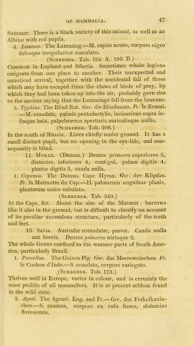 Summer. There is a black variety of this animal, as well as an Albino with red pupils. 4. Lemmus. The Lemming.—M. capite acuto, corpore nigro fulvoque irregulariter maculato. (Schreber. Tab. 195 A. 195 B.) Common in Lapland and Siberia. Sometimes whole legions emigrate from one place to another. Their unexpected and unnoticed arrival, together with the accidental fall of those which may have escaped from the claws of birds of prey, by which they had been taken up into the air, probably gave rise to the ancient saying that the Lemmings fell from the heavens. 5. Typhlus. The Blind Rat. Ger. die Blindmaus. Fr. le Zemni. —M. ecaudata, palmis pentadactylis, incisoribus supra in- fraque latis, palpebrarum aperturis auriculisque nullis. (Schreber. Tab. 206.) In the south of Russia. Lives chiefly under ground. It has a small distinct pupil, but no opening in the eye-lids, and con- sequently is blind. 11. Hyrax. (Daman.) Dentes primores superiores 2, distantes, inferiores 4, contigui, palmse digitis 4, plantre digitis 3, cauda nulla. 1. Capensis. The Daman. Cape Hyrax. Ger. der Klipdas. Fr. laMarmotte du Cap.—H. palmarum unguibus planis, plantarum unico subulato. (Schreber. Tab. 240.) At the Cape, &c. About the size of the Marmot : burrows like it also in the ground, but is difficult to classify on account of its peculiar anomalous structure, particularly of the teeth and feet. 12. Savia. Auriculae rotundatse, parvae. Cauda nulla aut brevis. Dentes primores utrinque 2. The whole Genus confined to the warmer parts of South Ame- rica, particularly Brazil. 1. Porcellus. The Guinea Pig. Ger. das Meersweinchen. Fr. le Cochon d’lnde.—S. ecaudata, corpore variegato. (Schreber. Tab. 173.) Thrives well in Europe, varies in colour, and is certainly the most prolific of all mammifera. It is at present seldom found in the wild state. 2. Aguti. The Agouti. Eng. and Fr.— Ger. das Ferkelkanin- chen.—S. caudata, corpore ex rufo fusco, abdomine flavescente.