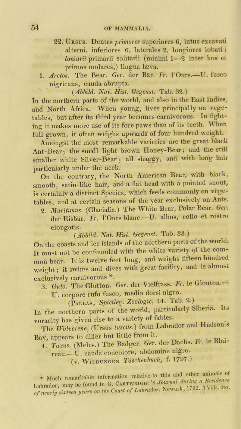 22. Ursus. Dentes primores superiores 6, intus exeavati alterni, inferiores G, laterales 2, longiores lobati; laniarii primarii solitarii (minimi 1—2 inter hos et primos molares,) lingua laeva. 1. Arctos. The Bear. Ger. der Bar. Fr. l’Ours.—U. fusco nigricans, cauda abrupta. (Abbild. Nat. Hist. Gegenst. Tab. 32.) In the northern parts of the world, and also in the East Indies, and North Africa. When young, lives principally on vege- tables, but after its third year becomes carnivorous. In fight- ing it makes more use of its fore paws than of its teeth. When full grown, it often weighs upwards of four hundred weight. Amongst the most remarkable varieties are the great black Ant-Bear; the small light brown Honey-Bear; and the still smaller white Silver-Bear ; all shaggy, and with long hair particularly under the neck. On the contrary, the North American Bear, with black, smooth, satin-like hair, and a flat head with a pointed snout, is certainly a distinct Species, which feeds commonly on vege- tables, and at certain seasons of the year exclusively on Ants. 2. Maritimus. (Glacialis.) The White Bear, Polar Bear. Ger. der Eisbar. Fr. l’Ours blanc.—U. albus, collo et rostro elongatis. (Abbild. Nat. Hist. Gegenst. Tab. 33.) On the coasts and ice islands of the northern parts of the world. It must not be confounded with the white variety of the com- mon bear. It is twelve feet long, and weighs fifteen hundred weight; it swims and dives with great facility, and is almost exclusively carnivorous *. 3. Gulo. The Glutton. Ger. der Vielfrass. Fr. le Glouton.— U. corpore rufo fusco, medio dorsi nigro. (Pallas, Spicileg. Zoologic, 14. Tab. 2.) In the northern parts of the world, particularly Siberia. Its voracity has given rise to a variety of fables. The Wolverene, (Ursus luscus.) from Labrador and Hudson » Bay, appears to differ but little from it. , . 4. Taxus. (Meles.) The Badger. Ger. der Dachs. Fr. le Blai- reau.—U. cauda concolore, abdomine nigro. (v. Wildungen Tasclienbuch, f. 1797-) * Much remarkable information relative to this and other animals of Labrador, may be found in G. Cartwright’s of nearly sixteen years on the Coast of Lain ador. l cv ,