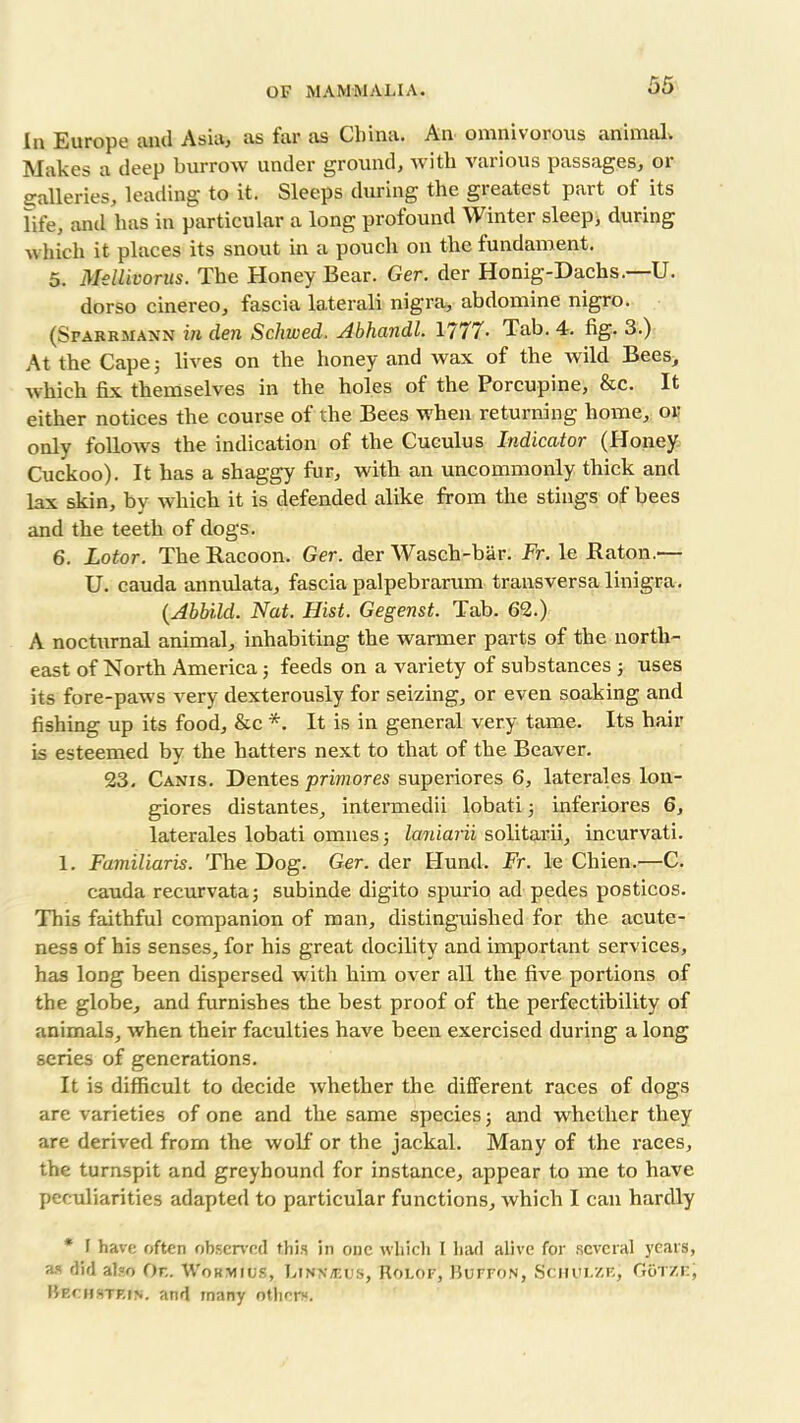 Ill Europe and Asia, as far as China. An omnivorous animal. Makes a deep burrow under ground, with various passages, or galleries, leading to it. Sleeps during the greatest part of its life, and has in particular a long profound Winter sleep, during which it places its snout in a pouch on the fundament. 5. Mellivorus. The Honey Bear. Ger. der Honig-Dachs.—U. dorso cinereo, fascia lateral! nigra, abdomine nigro. (Sfarrmann in den Schwed. Abhandl. 1777• Tab. 4. fig. 3.) At the Cape j lives on the honey and wax of the wild Bees, which fix themselves in the holes of the Porcupine, &c. It either notices the course of the Bees when returning home, or only follows the indication of the Cuculus Indicator (Honey Cuckoo). It has a shaggy fur, with an uncommonly thick and lax skin, by which it is defended alike from the stings of bees and the teeth of dogs. 6. Lotor. The Racoon. Ger. der Wasch-bar. Fr. le Raton.— U. cauda annulata, fascia palpebrarum transversa linigra. (Abbild. Nat. Hist. Gegenst. Tab. 62.) A nocturnal animal, inhabiting the warmer parts of the north- east of North America; feeds on a variety of substances ; uses its fore-paws very dexterously for seizing, or even soaking and fishing up its food, &c *. It is in general very tame. Its hair is esteemed by the hatters next to that of the Beaver. 23, Canis. Dentes primores superiores 6, laterales lon- giores distantes, intermedii lobati 5 inferiores 6, laterales lobati omnes 5 laniarii solitarii, incurvati. 1. Familiaris. The Dog. Ger. der Hund. Fr. le Chien.—C. cauda recurvata; subinde digito spurio ad pedes posticos. This faithful companion of man, distinguished for the acute- ness of his senses, for his great docility and important services, has long been dispersed with him over all the five portions of the globe, and furnishes the best proof of the perfectibility of animals, when their faculties have been exercised during a long series of generations. It is difficult to decide whether the different races of dogs are varieties of one and the same species; and whether they are derived from the wolf or the jackal. Many of the races, the turnspit and greyhound for instance, appear to me to have peculiarities adapted to particular functions, which I can hardly * I have often observed this in one which I had alive for several years, as did also Or.. Wokmius, Linw/eus, Rolof, Buffon, Schulze, G6tzf., Bechstf.in. and many others.