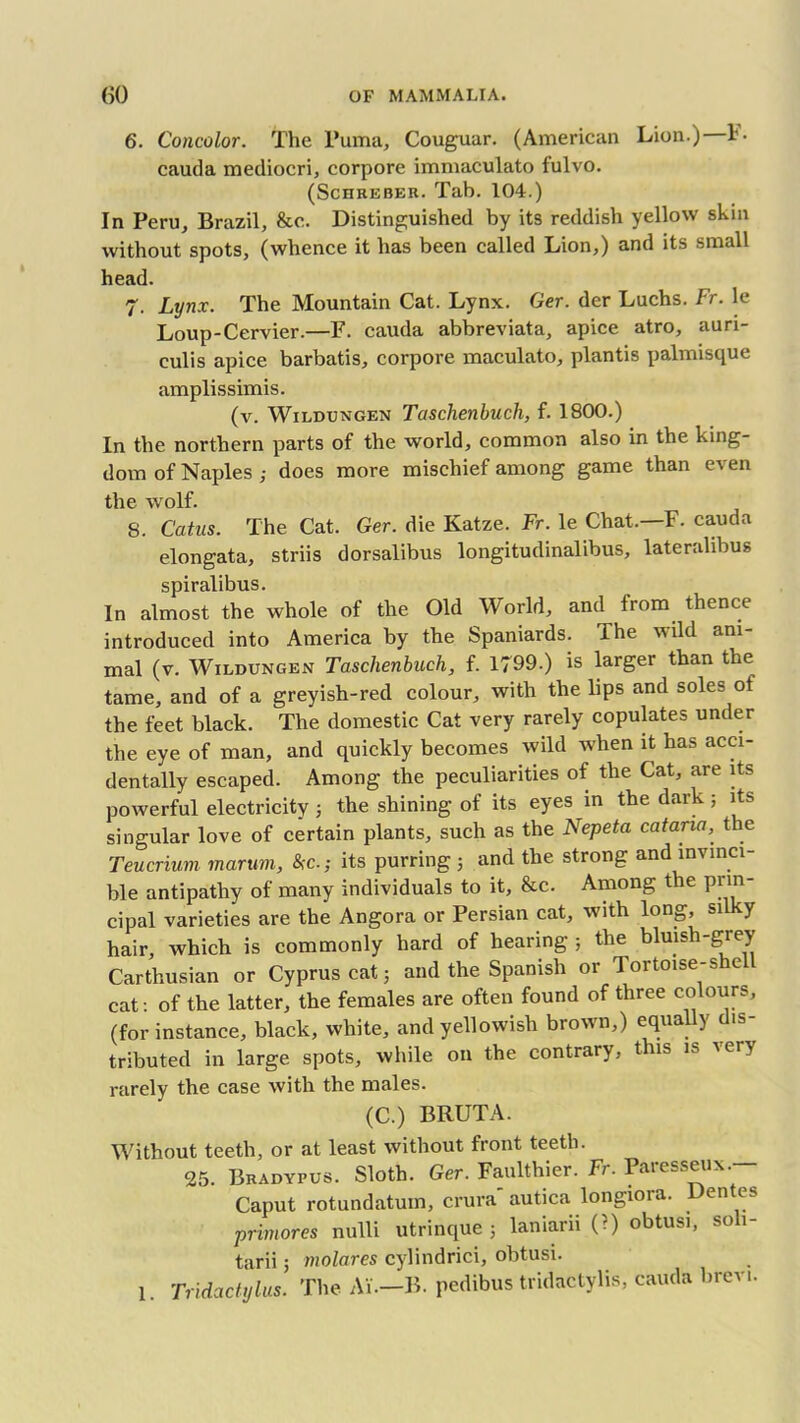 6. Concolor. The Puma, Couguar. (American Lion.)—F. cauda mediocri, corpore immaculato fulvo. (Schreber. Tab. 104.) In Peru, Brazil, &c. Distinguished by its reddish yellow skin without spots, (whence it has been called Lion,) and its small head. 7. Lynx. The Mountain Cat. Lynx. Ger. der Luchs. Fr. le Loup-Cervier.—F. cauda abbreviata, apice atro, auri- culis apice barbatis, corpore maculato, plantis palmisque amplissimis. (v. Wildungen Tcischenbucli, f. 1800.) In the northern parts of the world, common also in the king- dom of Naples ; does more mischief among game than even the wolf. 8. Catus. The Cat. Ger. die Katze. Fr. le Chat.—F. cauda elongata, striis dorsalibus longitudinalibus, laterahbus spiralibus. In almost the whole of the Old World, and from thence introduced into America by the Spaniards. The wild ani- mal (v. Wildungen Taschenbuch, f. 1799.) is larger than the tame, and of a greyish-red colour, with the lips and soles of the feet black. The domestic Cat very rarely copulates under the eye of man, and quickly becomes wild when it has acci- dentally escaped. Among the peculiarities of the Cat, are its powerful electricity 3 the shining of its eyes in the dark ; its singular love of certain plants, such as the Nepeta catana, the Teucrium marum, &c.; its purring 3 and the strong and invinci- ble antipathy of many individuals to it, &c. Among the prin- cipal varieties are the Angora or Persian cat, with long, silky hair, which is commonly hard of hearing ; the bluish-grey Carthusian or Cyprus cat 5 and the Spanish or Tortoise-shell cat: of the latter, the females are often found of three colours, (for instance, black, white, and yellowish brown,) equally dis- tributed in large spots, while on the contrary, this is very rarely the case with the males. (C.) BRUTA. Without teeth, or at least without front teeth. 25. Bradypus. Sloth. Ger. Faulthier. Fr. Paresseux - Caput rotundatum, crura autica longiora. Dentes primores nulli utrinque 3 laniarii (?) obtusi, soli- tarii; molares cylindrici, obtusi. 1. Tridactylus. The Ai—B. pedibus tridactylis, cauda brevi.