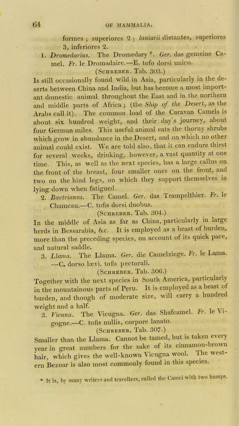 formes ; superiorcs 2 ; laniard distantes, superiores 3, inferiores 2. 1. Dromedarius. The Dromedary*. Ger. das gemeine Ca- mel. Fr. le Dromadaire.—E. tofo dorsi unico. (Schreber. Tab. 303.) Is still occasionally found wild in Asia, particularly in the de- serts between China and India, but has become a most import- ant domestic animal throughout the East and in the northern and middle parts of Africa ; (the Ship of the Desert, as the Arabs call it). The common load of the Caravan Camels is about six hundred weight, and their day’s journey, about four German miles. This useful animal eats the thorny shrubs which grow in abundance in the Desert, and on which no other animal could exist. We are told also, that it can endure thirst for several weeks, drinking, however, a vast quantity at one time. This, as well as the next species, has a large callus on the front of the breast, four smaller ones on the front, and two on the hind legs, on which they support themselves in lying down when fatigued. 2. Bactrianus. The Camel. Ger. das Irampelthier. Fr. It Chameau.—C. tofis dorsi duobus. (Schreber. Tab. 304.) In the middle of Asia as far as China, particularly in large herds in Bessarabia, &c. It is employed as a beast of burden, more than the preceding species, on account of its quick pace, and natural saddle. 3. Llama. The Llama. Ger. die Camelziege. Fr. le Lama. —C. dorso Levi, tofo pectorali. (Schreber. Tab. 306.) Together with the next species in South America, particularly in the mountainous parts of Peru. It is employed as a beast ot burden, and though of moderate size, will carry a hundred weight and a half. 3. Vicuna. The Vicugna. Ger. das Shafcamel. Fr. le \ i- gogne.—C. tofis nullis, cor pore lanato. (Schreber. Tab. 307-) Smaller than the Llama. Cannot be tamed, but is taken e\ ery year in great numbers for the sake of its cinnamon-brown hair, which gives the well-known Vicugna wool. The west- ern Bezoar is also most commonly found in this species. * It is, by many writers and travellers, called the Camel with two humps.