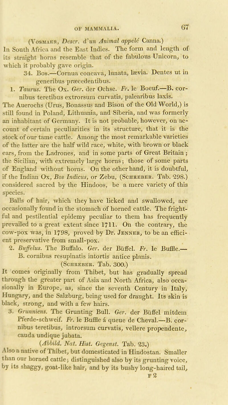 G7 (Vosmaer, Descr. d'un Animal appeU Canna.) In South Africa and the East Indies. The form and length of its straight horns resemble that of the fabulous Unicorn, to which it probably gave origin. 34. Bos.—Cornua concava, lunata, lsevia. Dentes ut in generibus prsecedentibus. 1. Taurus. The Ox. Ger. der Ochse. Fr. le Boeuf.—B. cor- nibus teretibus extrorsum curvatis, palearibus laxis. The Auerochs (Urus, Bonassus and Bison of the Old World,) is still found in Poland, Lithuania, and Siberia, and was formerly an inhabitant of Germany. It is not probable, however, on ac- count of certain peculiarities in its structure, that it is the stock of our tame cattle. Among the most remarkable varieties of the latter are the half wild race, white, with brown or black ears, from the Ladrones, and in some parts of Great Britain ; the Sicilian, with extremely large horns; those of some parts of England 'without horns. On the other hand, it is doubtful, if the Indian Ox, Bos Indicus, or Zebu, (Schreber. Tab. 298.) considered sacred by the Hindoos, be a mere variety of this species. Balls of hair, which they have licked and swallowed, are occasionally found in the stomach of horned cattle. The fright- ful and pestilential epidemy peculiar to them has frequently prevailed to a great extent since 1711. On the contrary, the cow-pox was, in 17'98, proved by Dr. Jenner, to be an effici- ent preservative from small-pox. 2. Buffelus. The Buffalo. Ger. der Biiffel. Fr. le Buffle.— B. cornibus resupinatis intortis antice planis. (Schreber. Tab. 300.) It comes originally from Thibet, but has gradually spread through the greater part of Asia and North Africa, also occa- sionally in Europe, as, since the seventh Century in Italy, Hungary, and the Salzburg, being used for draught. Its skin is black, strong, and with a few hairs. 3. Grunniens. The Grunting Bull. Ger. der Biiffel mitdem Pferde-schweif. Fr. le Buffle a queue de Cheval.—B. cor- nibus teretibus, introrsum curvatis, vellere propendente, cauda undique jubata. (Ablnld. Nat. Hist. Gegenst. Tab. 23.) Also a native of Thibet, but domesticated in Hindostan. Smaller than our horned cattle 5 distinguished also by its grunting voice, by its shaggy, goat-like hair, and by its bushy long-haired tail, F 2