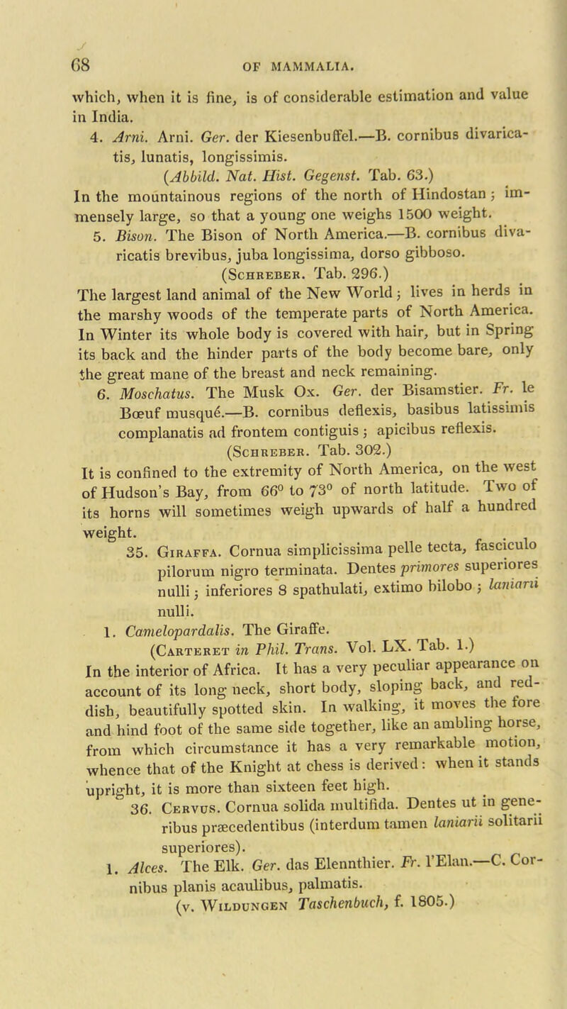 which, when it is fine, is of considerable estimation and value in India. 4. Ami. Arni. Ger. der Kiesenbuffel.—B. cornibus divarica- tis, lunatis, longissimis. (Abbild. Nat. Hist. Gegenst. Tab. 63.) In the mountainous regions of the north of Hindostan ; im- mensely large, so that a young one weighs 1500 weight. 5. Bison. The Bison of North America.—B. cornibus diva- ricatis brevibus, juba longissima, dorso gibboso. (Schreber. Tab. 296.) The largest land animal of the New World •, lives in herds in the marshy woods of the temperate parts of North America. In Winter its whole body is covered with hair, but in Spring its back and the hinder parts of the body become bare, only the great mane of the breast and neck remaining. 6. Moschatus. The Musk Ox. Ger. der Bisamstier. Ft. le Boeuf musqu£.—B. cornibus deflexis, basibus latissimis complanatis ad frontem contiguis j apicibus reflexis. (Schreber. Tab. 302.) It is confined to the extremity of North America, on the west of Hudson’s Bay, from 66° to 73° of north latitude. Two of its horns will sometimes weigh upwards of half a hundred weight. 35. Giraffa. Cornua simplicissima pelle tecta, fasciculo pilorum nigro terminata. Dentes primores superiores nulli; inferiores 8 spathulati, extimo bilobo ; laniani nulli. 1. Camelopardalis. The Giraffe. (Carteret in Phil. Trans. Vol. LX. Tab. 1.) In the interior of Africa. It has a very peculiar appearance on account of its long neck, short body, sloping back, and red- dish, beautifully spotted skin. In walking, it moves the tore and hind foot of the same side together, like an ambling horse, from which circumstance it has a very remarkable motion, whence that of the Knight at chess is derived: when it stands upright, it is more than sixteen feet high. 36. Cervus. Cornua solida multifida. Dentes ut in gene- ribus prsecedentibus (interdum tamen laniarii solitarii superiores). 1. Alces. The Elk. Ger. das Elenntliier. Fr. l’Elan.—C. Cor- nibus planis acaulibus, palmatis. (v. Wildungen Taschenbnch, f. 1805.)